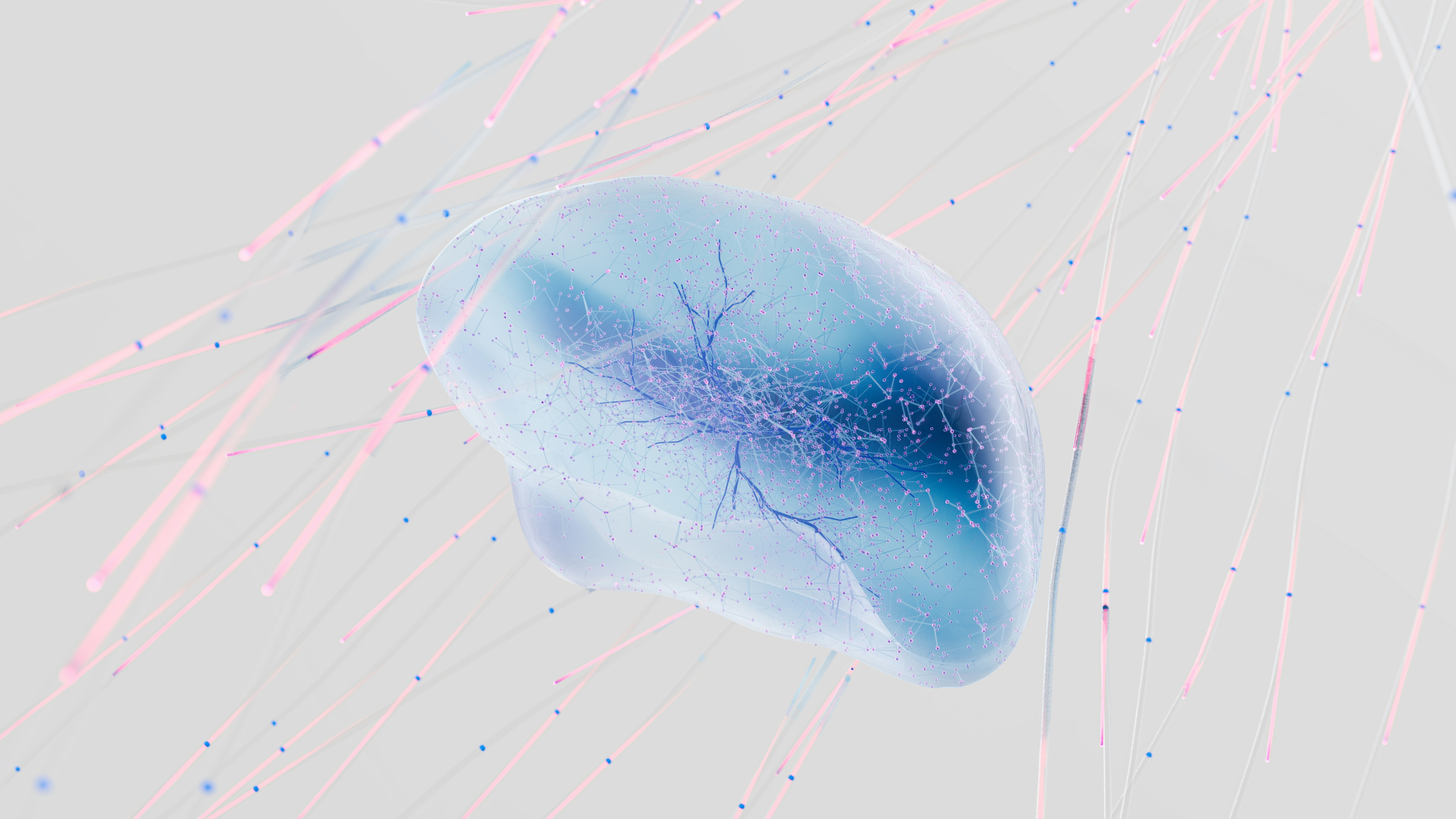 Can Oxalates Cross The Blood-Brain Barrier?