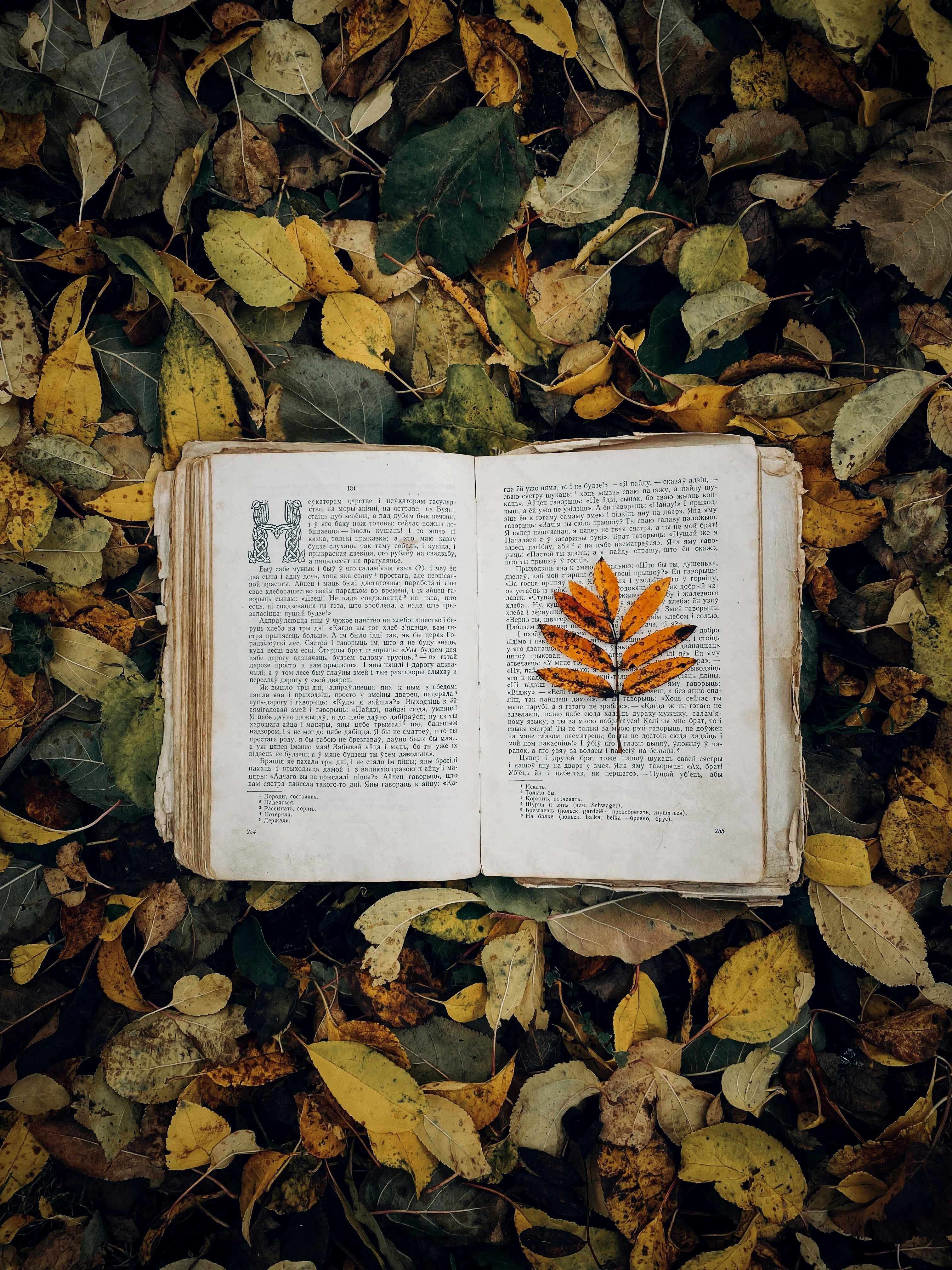 Un libro sobre el terreno foto – Imagen de Estético gratuita en Unsplash, image size:3000x4000