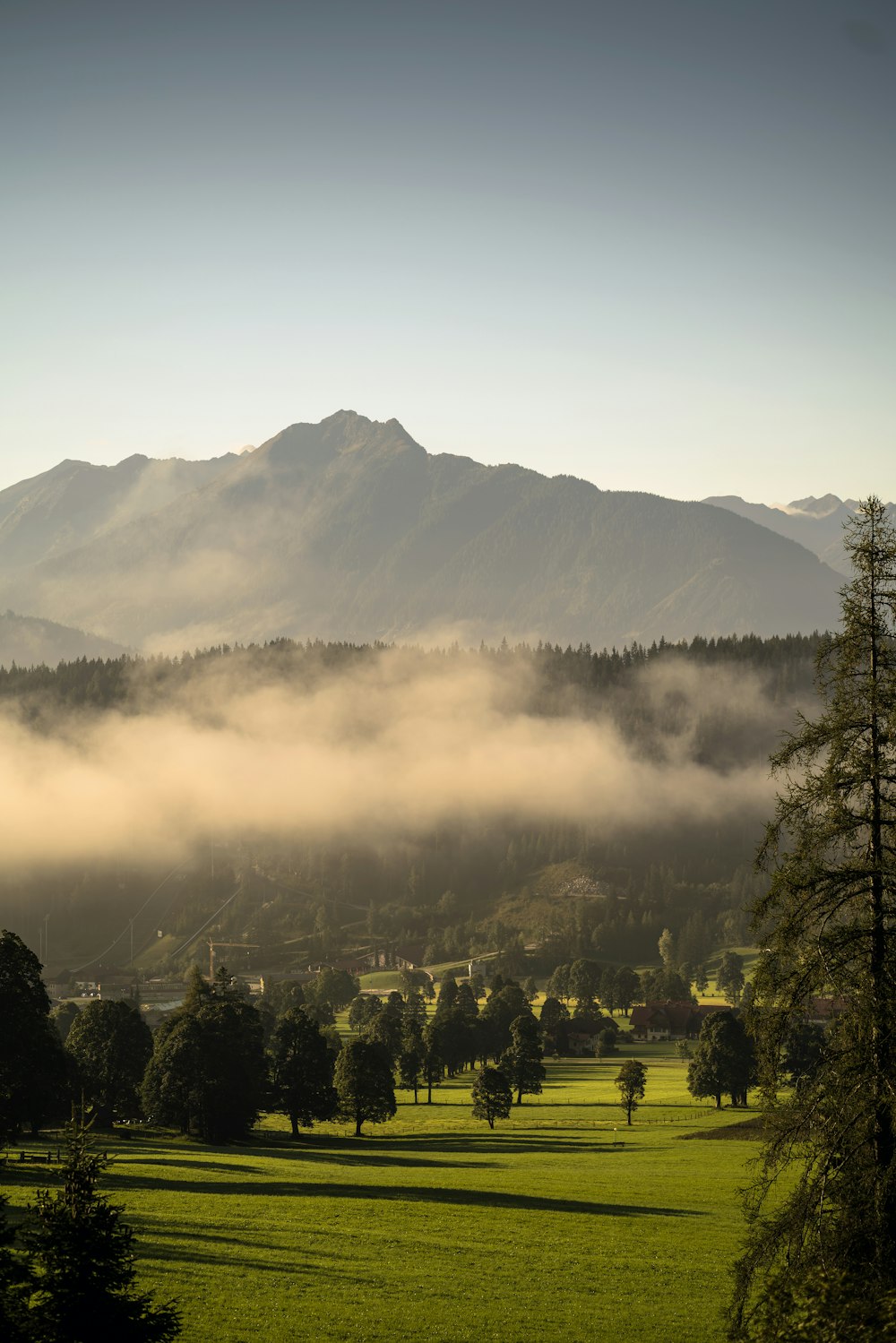 a foggy valley with trees and mountains in the background