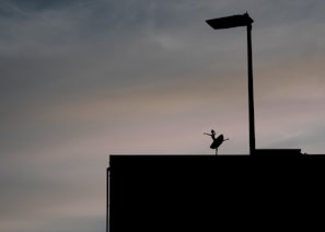 A black and white photo of a dancer's silhouette against a misty landscape