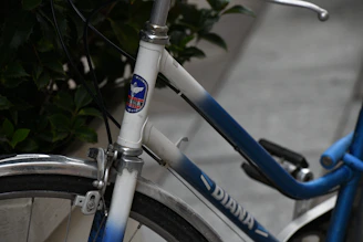 Artistic photo of a custom titanium gravel frame with elegant anodized finish and detailed welds.