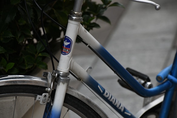 A close-up of a bicycle frame with a gradient from white to blue, displaying the brand name 'DIANA'. The bicycle features a metallic wheel rim and a sticker with a winged logo. Green leaves and pavement are visible in the background.