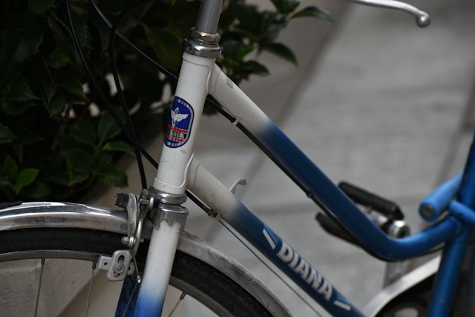 Highlighting the Performance and Cost Benefits of Chinese Bicycle Brands in Europe
