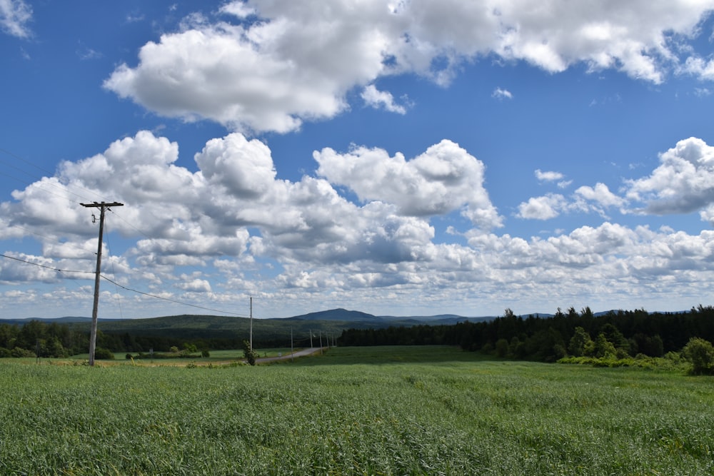 a large green field with power lines