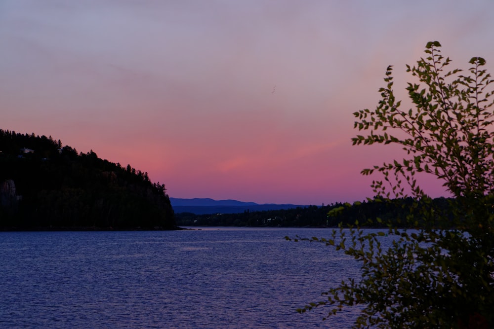 a body of water with trees on the side