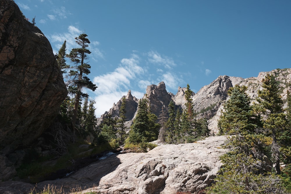 a rocky mountain with trees