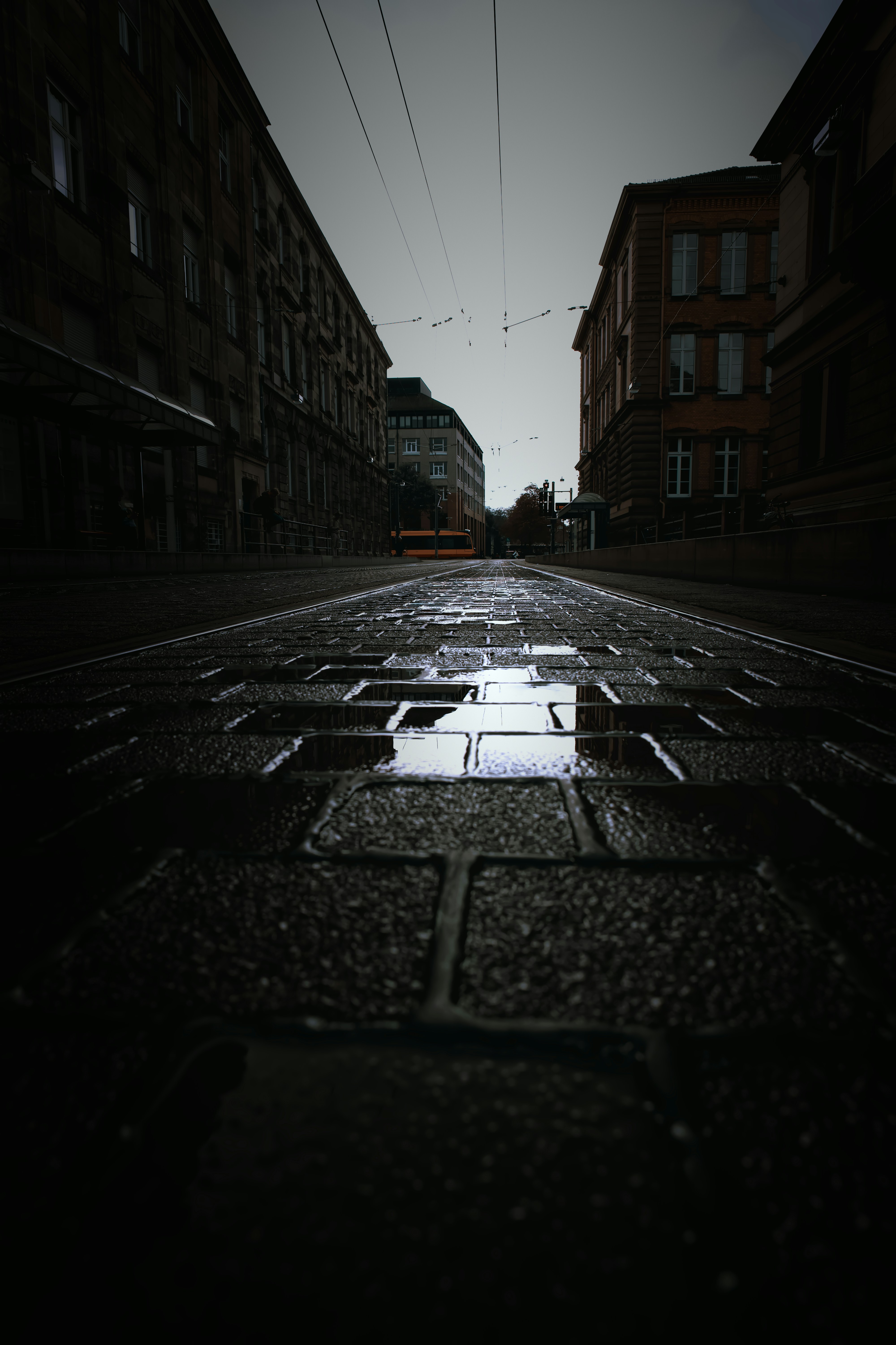 Photo by markusmckay