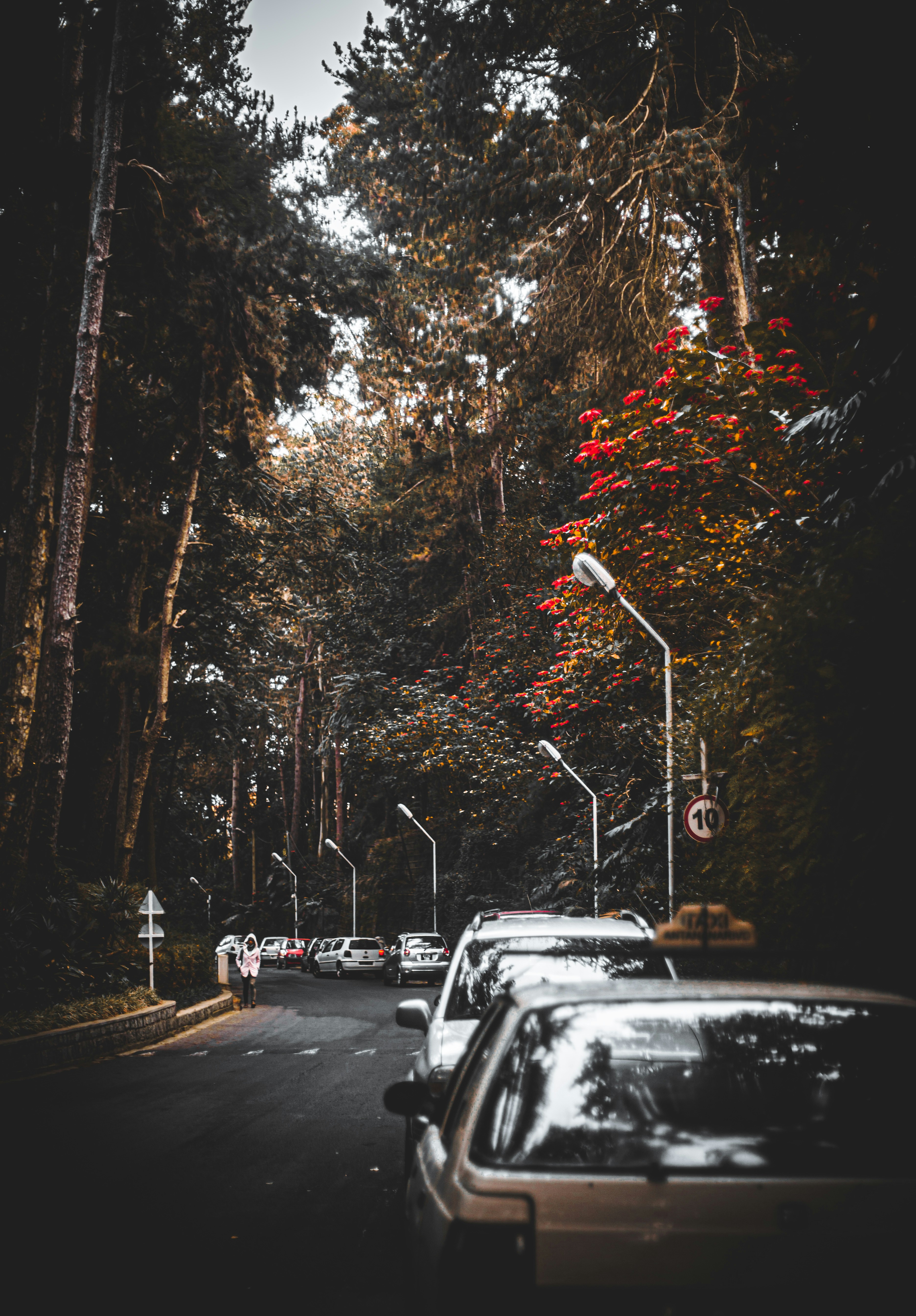 Photo by alekseyryan