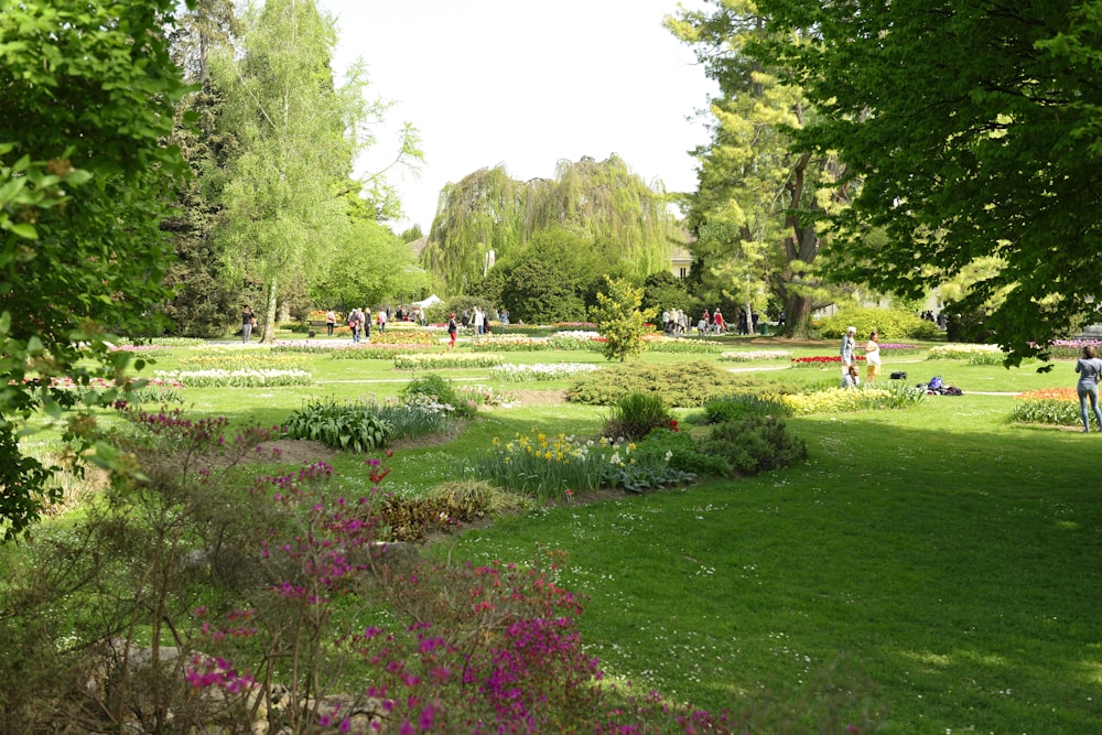a large green park with people walking around