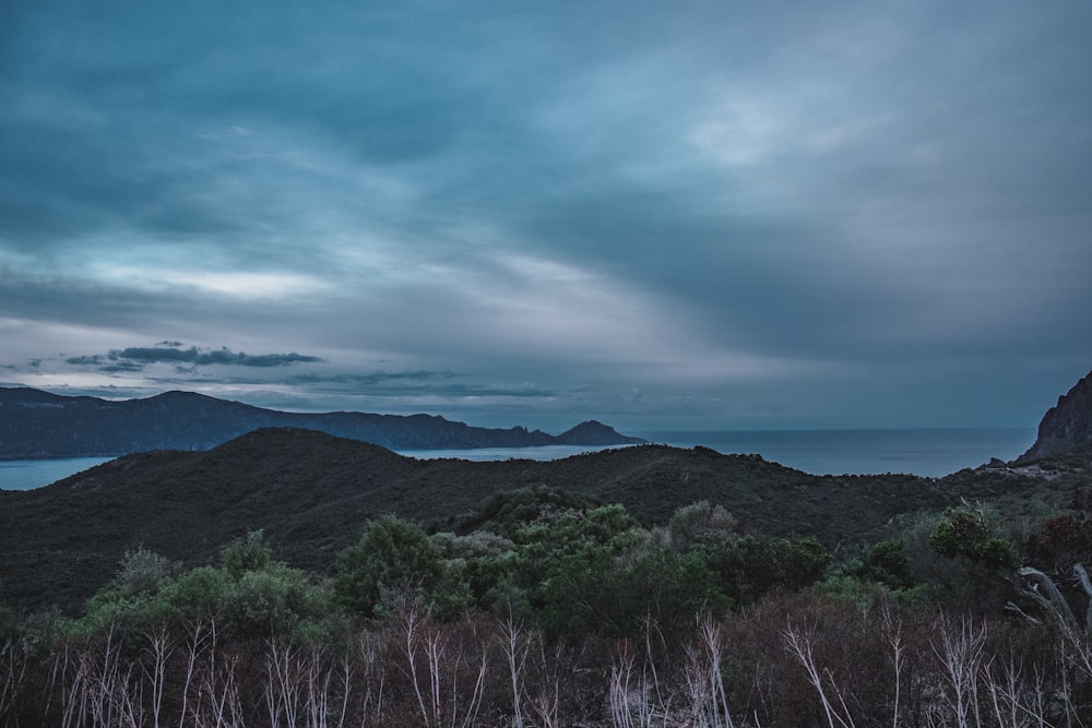 a landscape with trees and mountains in the background