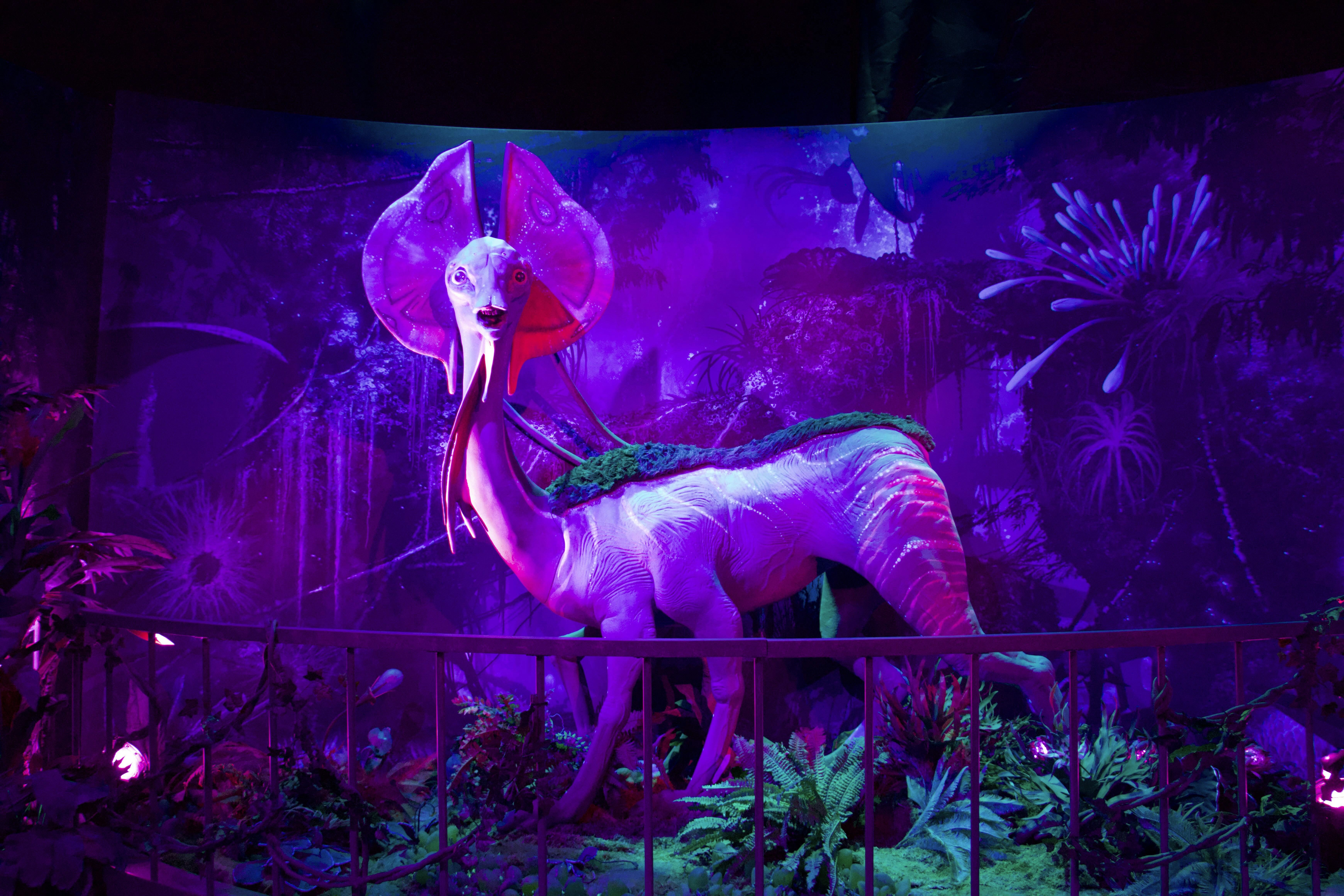 Creating Avatars with “mujer:ptebhjfrcuy= avatar” – What It Means and How to Use It?