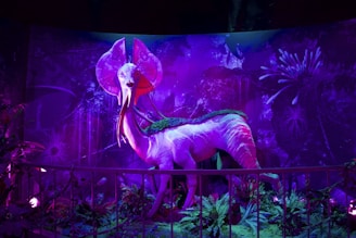 a skeleton of a dinosaur