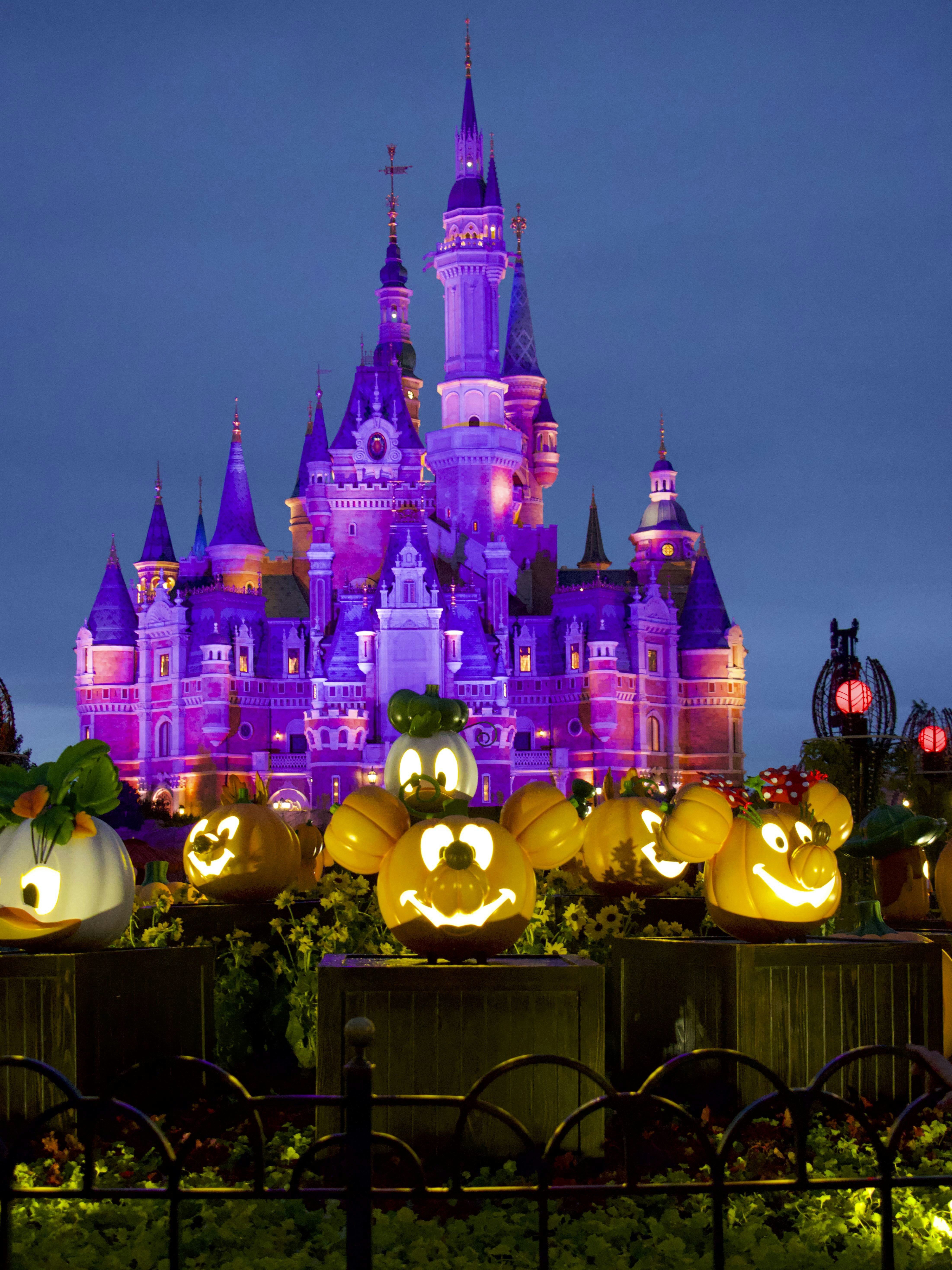 a castle with many lights