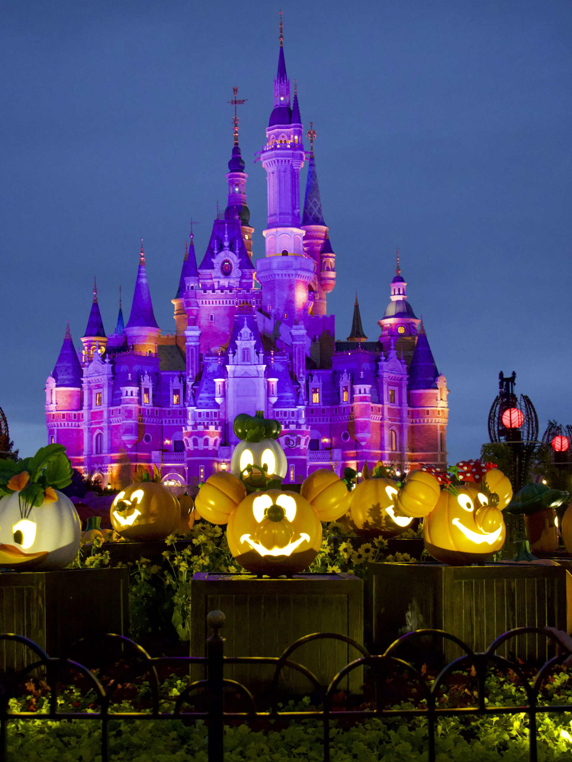 a castle with many lights