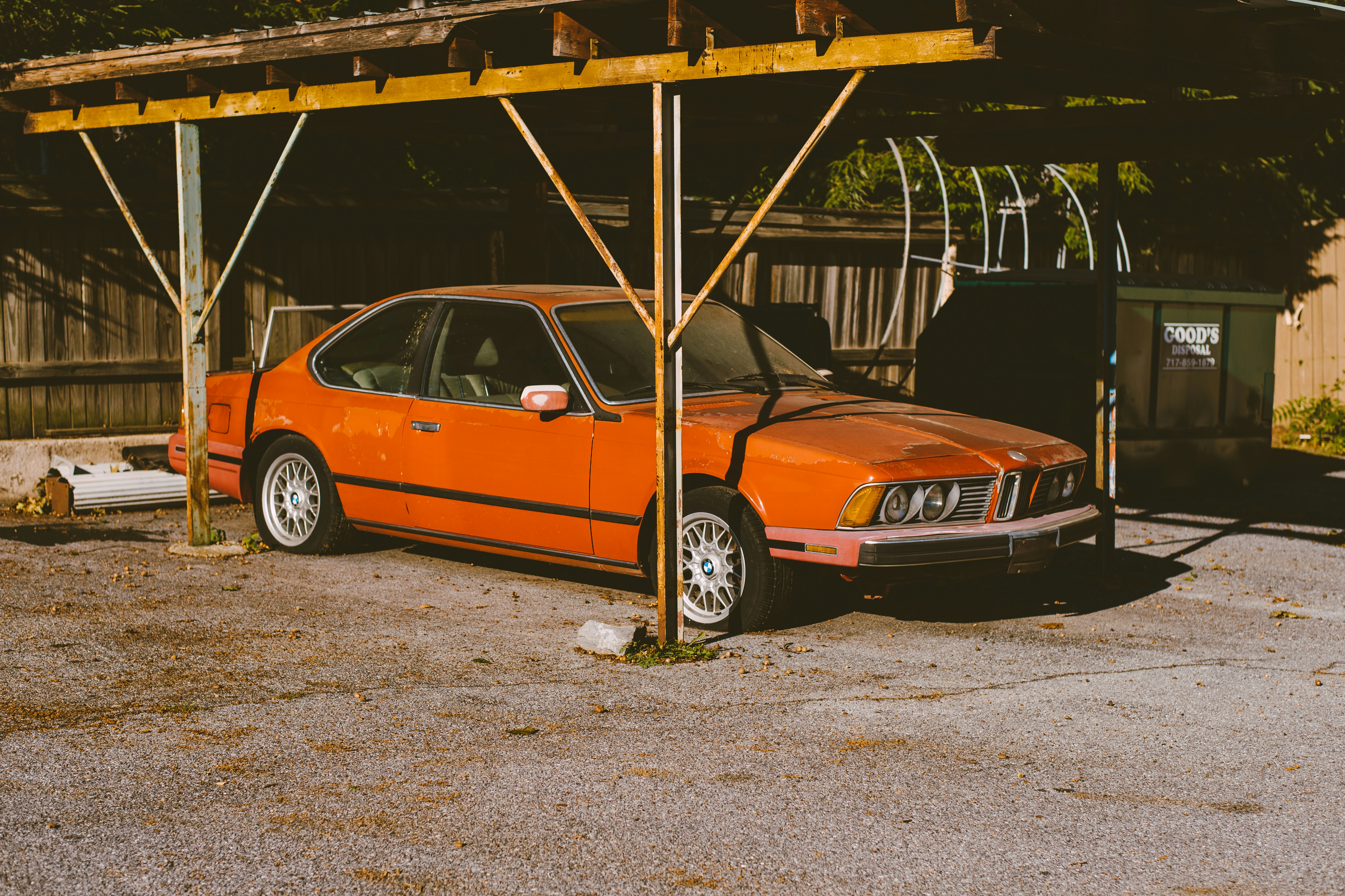 Photo by romandempire