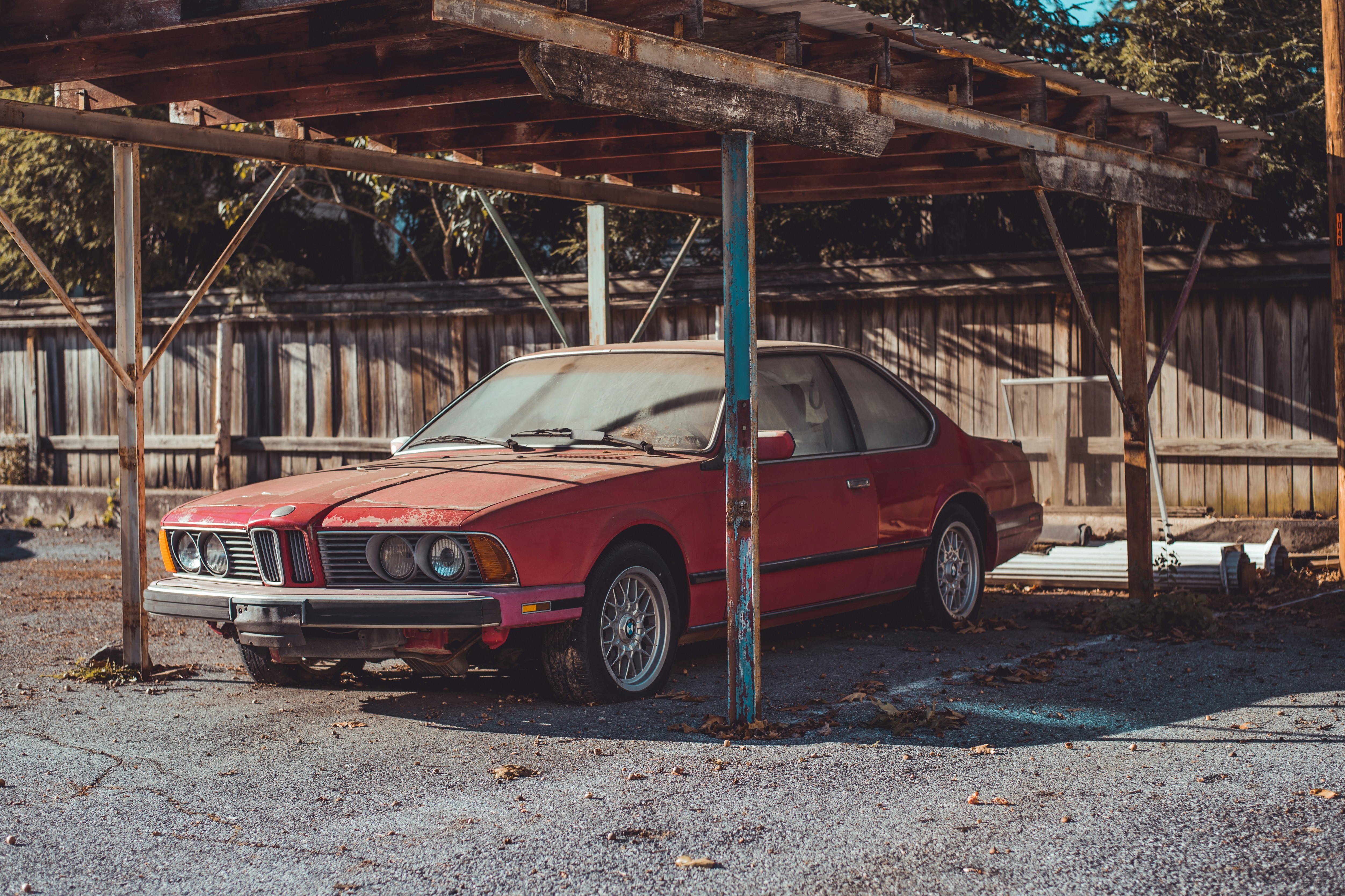 Photo by romandempire