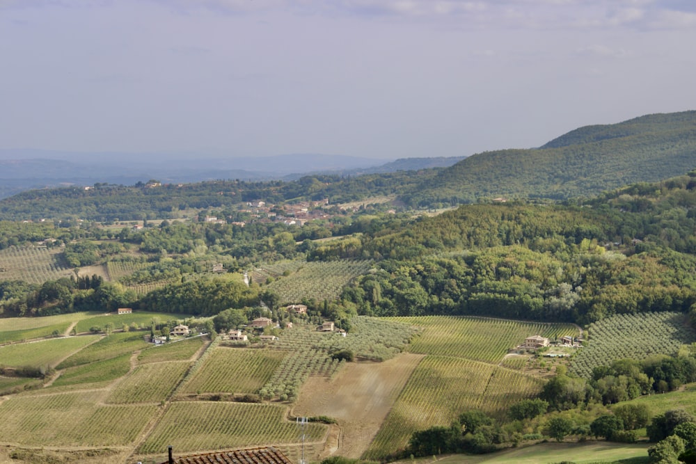 a landscape with trees and buildings