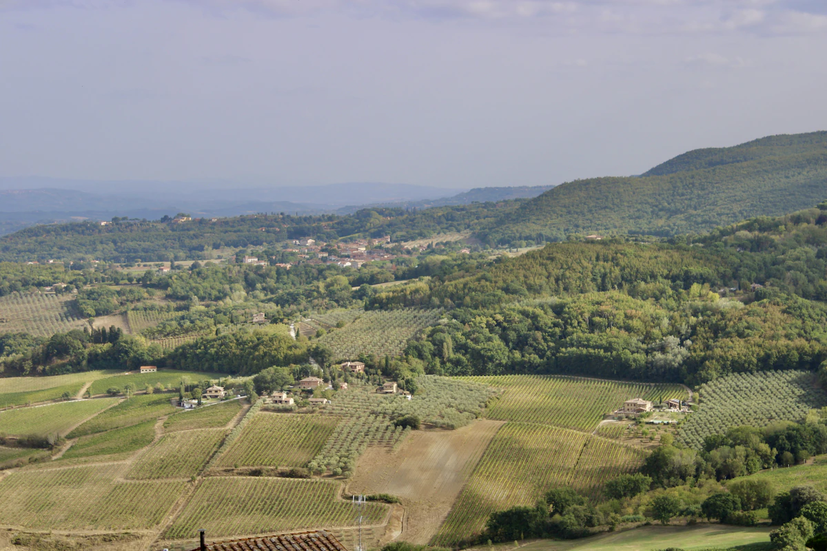 Marche