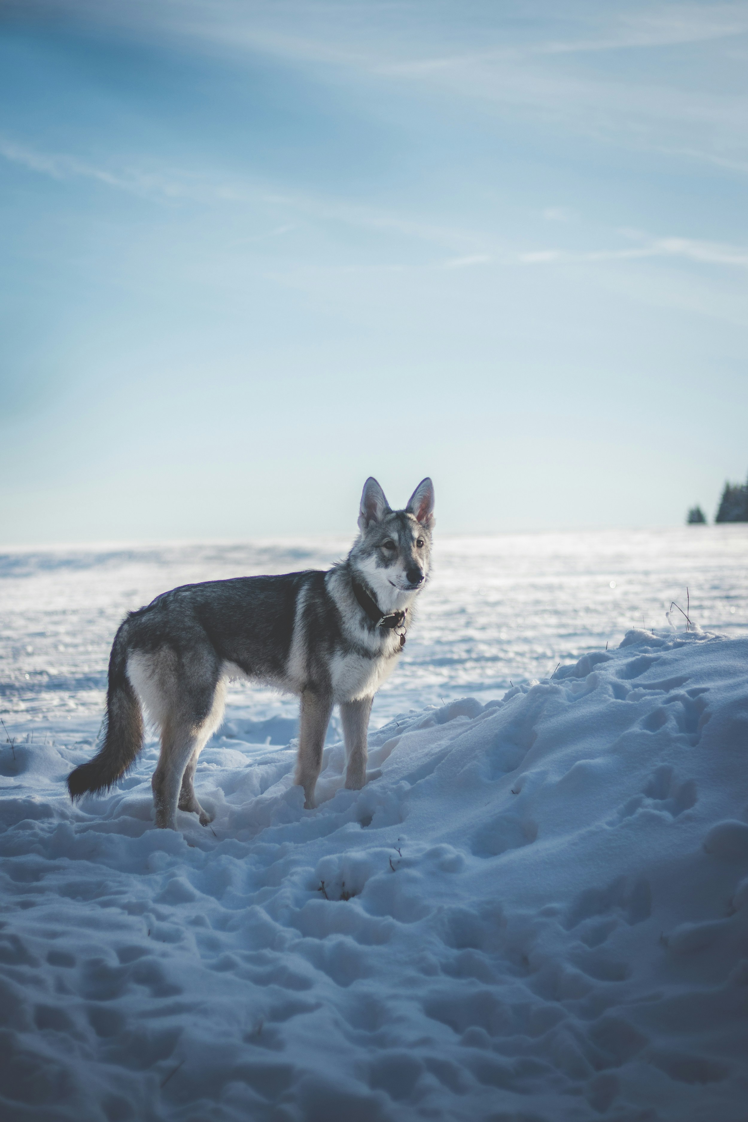 Photo by honzareznik