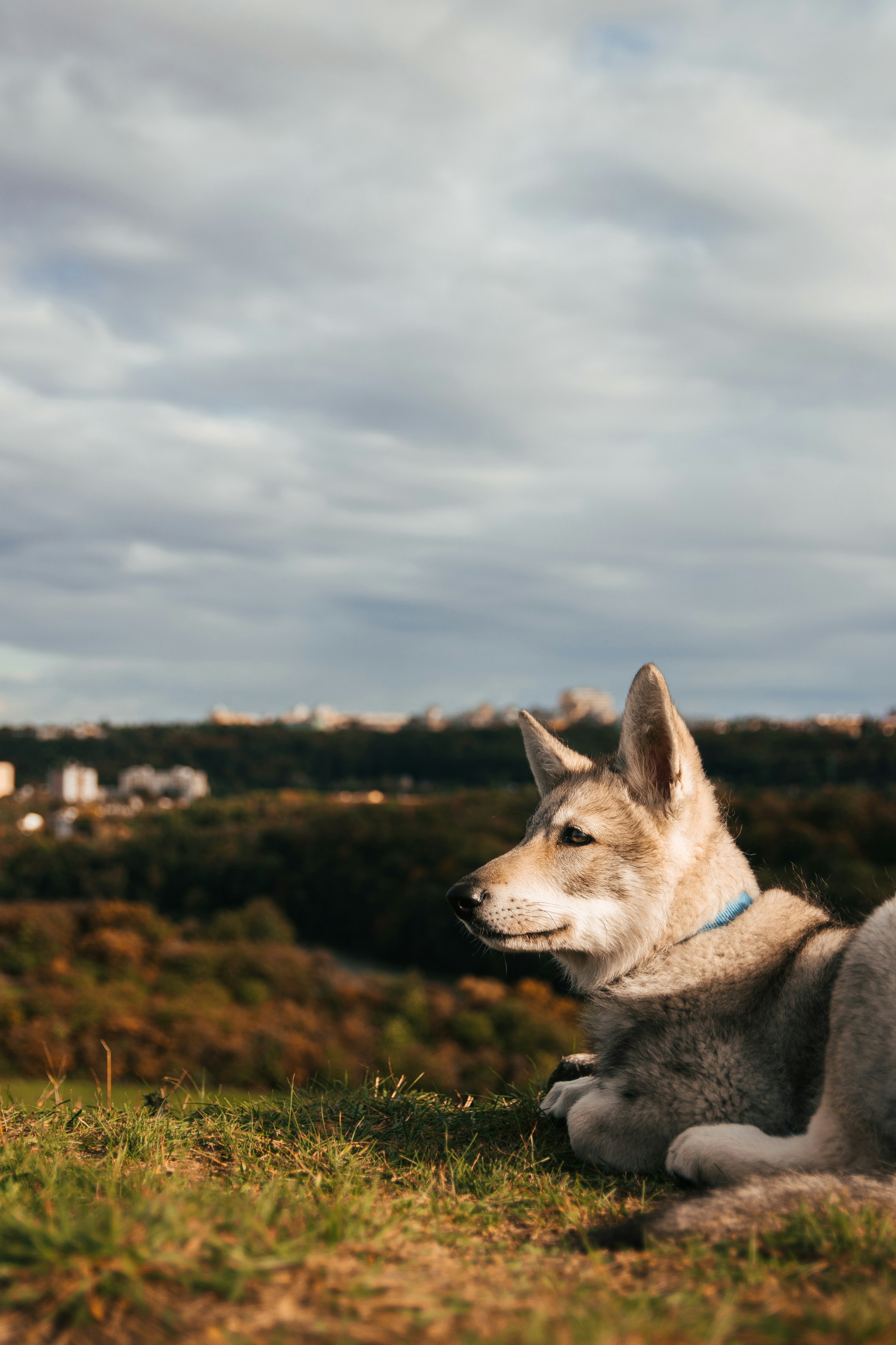 Photo by honzareznik