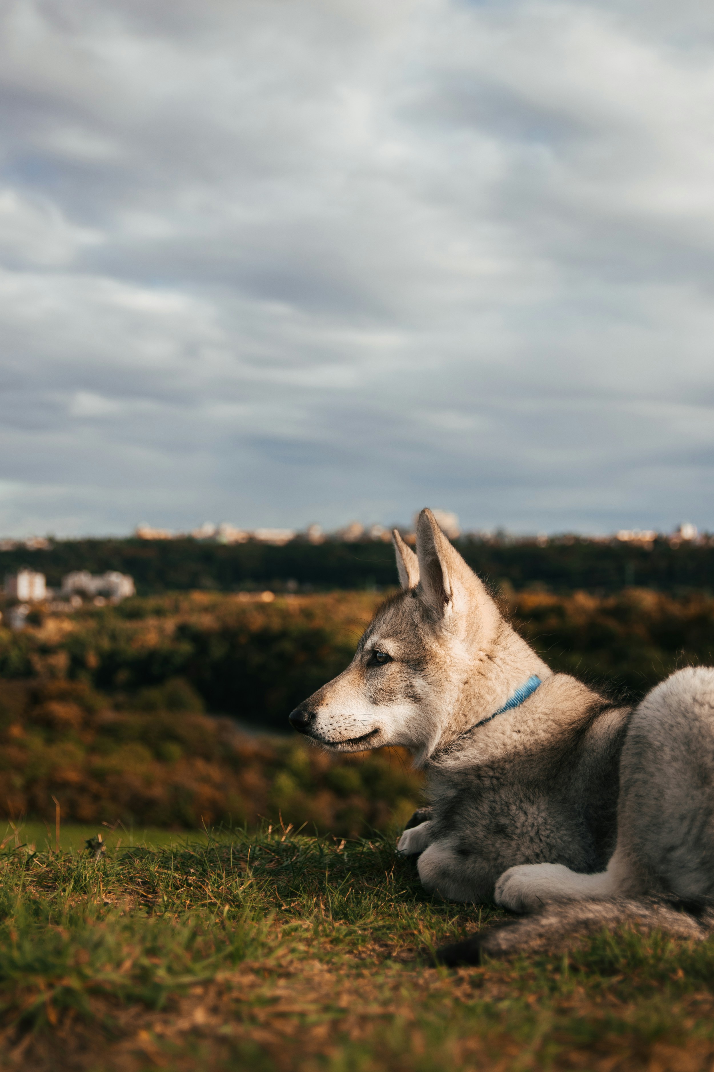 Photo by honzareznik
