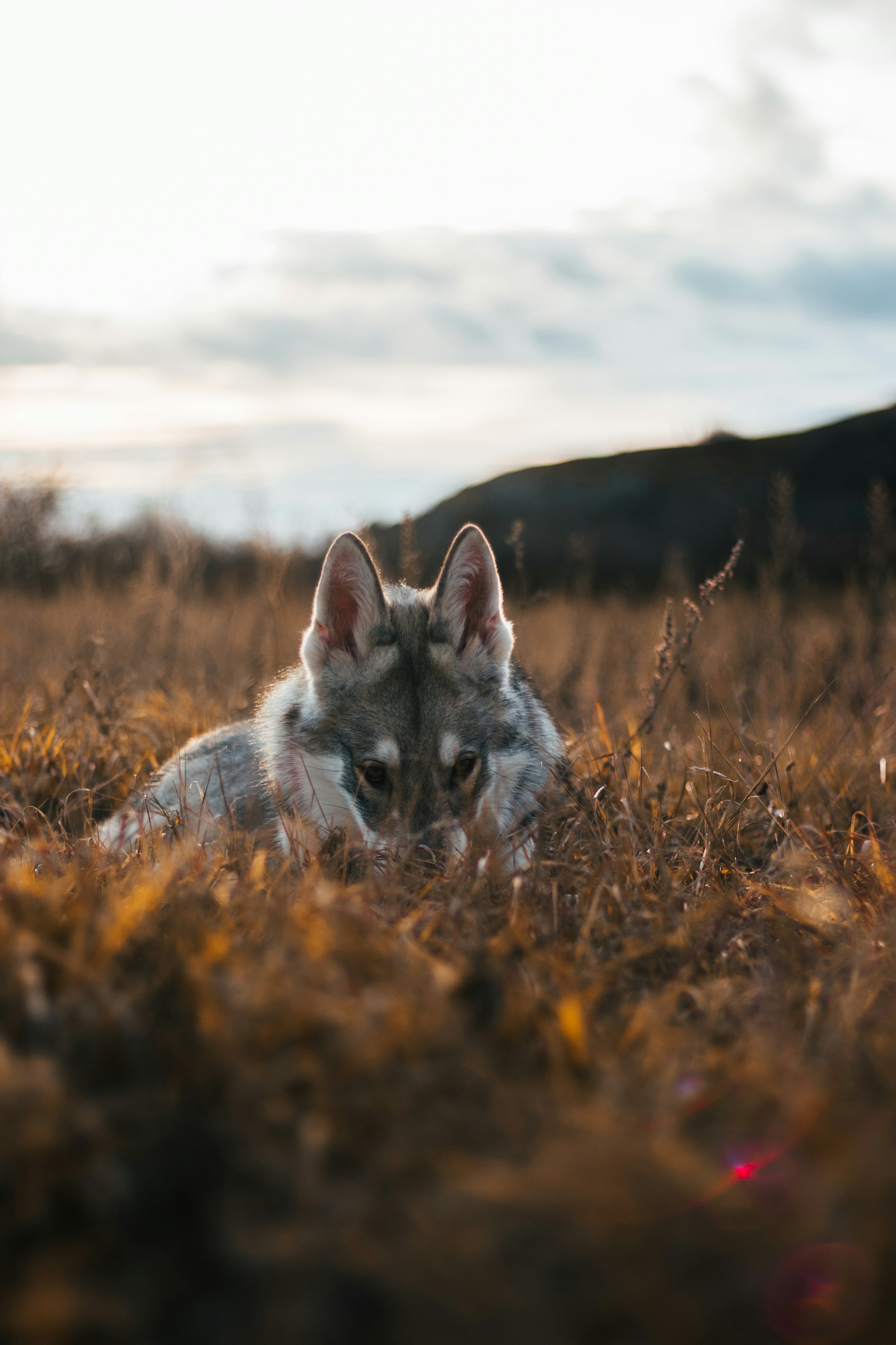 Photo by honzareznik