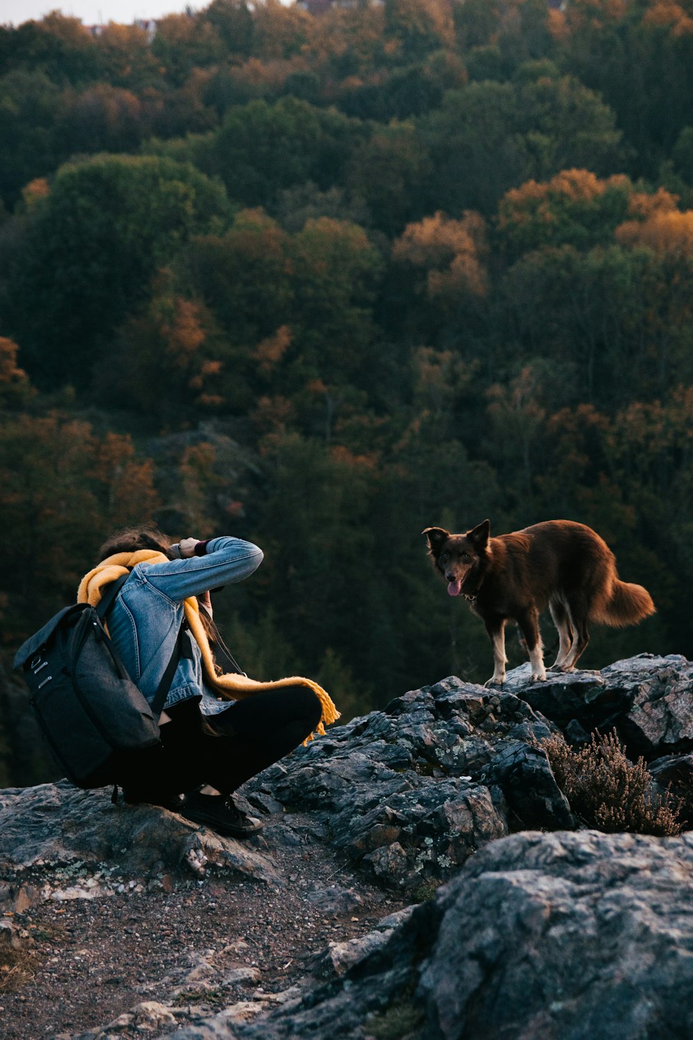 a person and a dog on a rocky hill with trees in the background