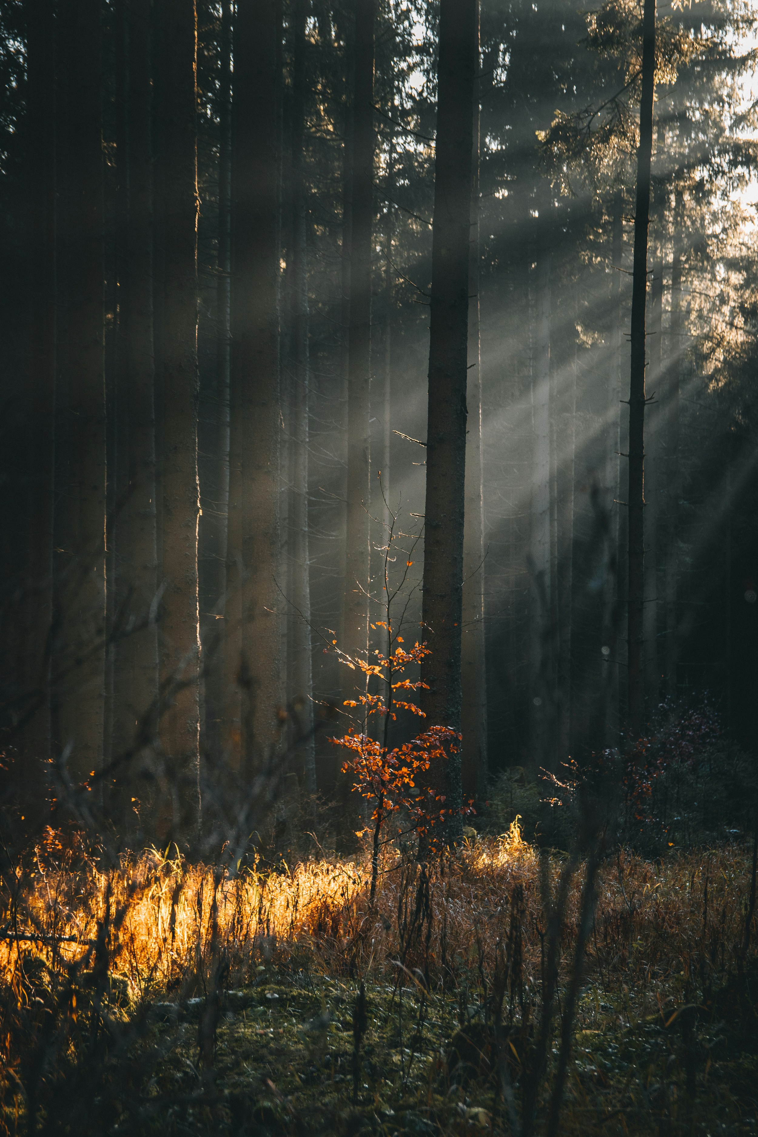 Photo by honzareznik