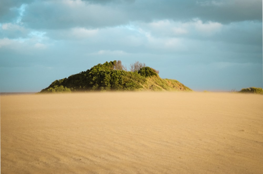 una zona sabbiosa con una collina in lontananza