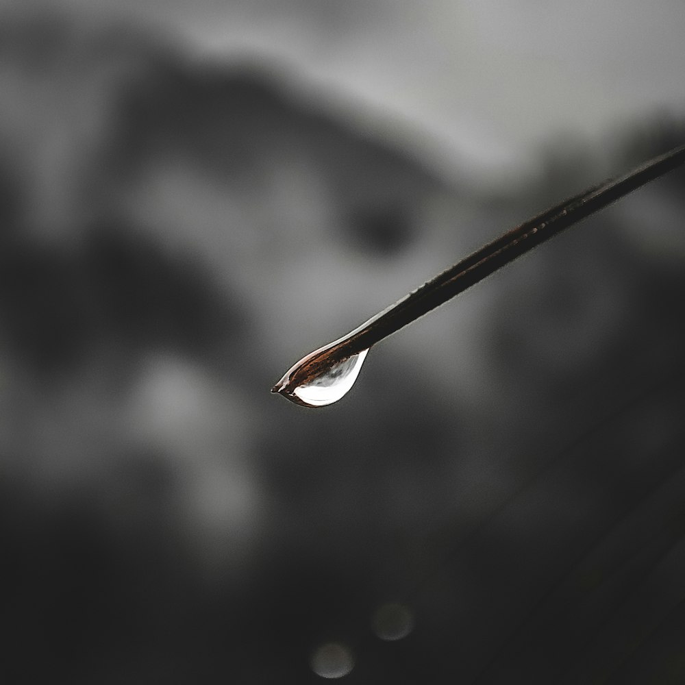 a drop of water falling