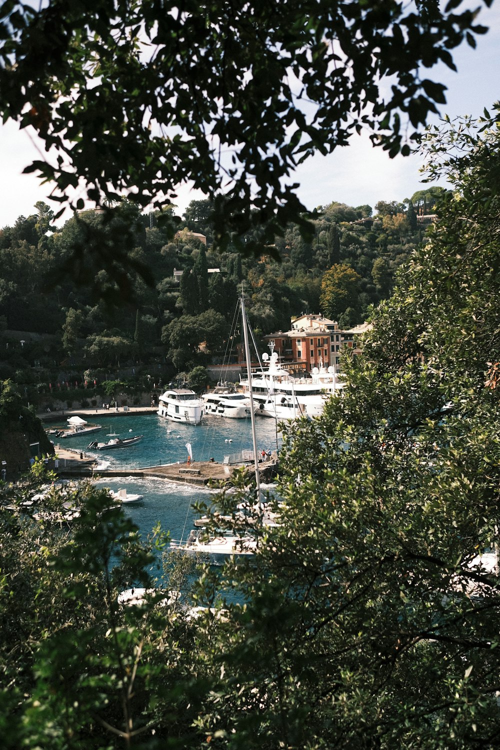 a group of boats in a harbor