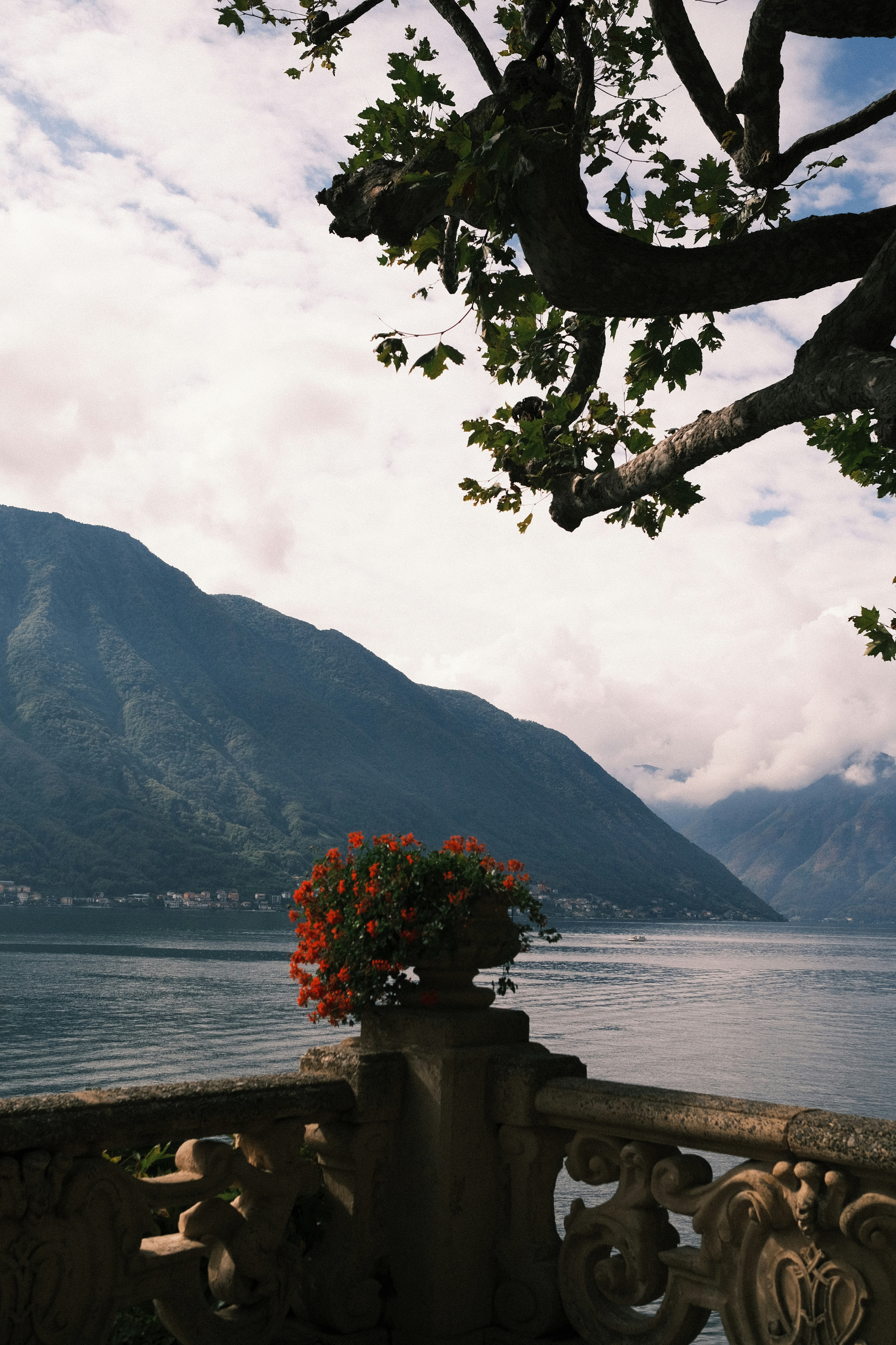 Photo by lifeofdaniel