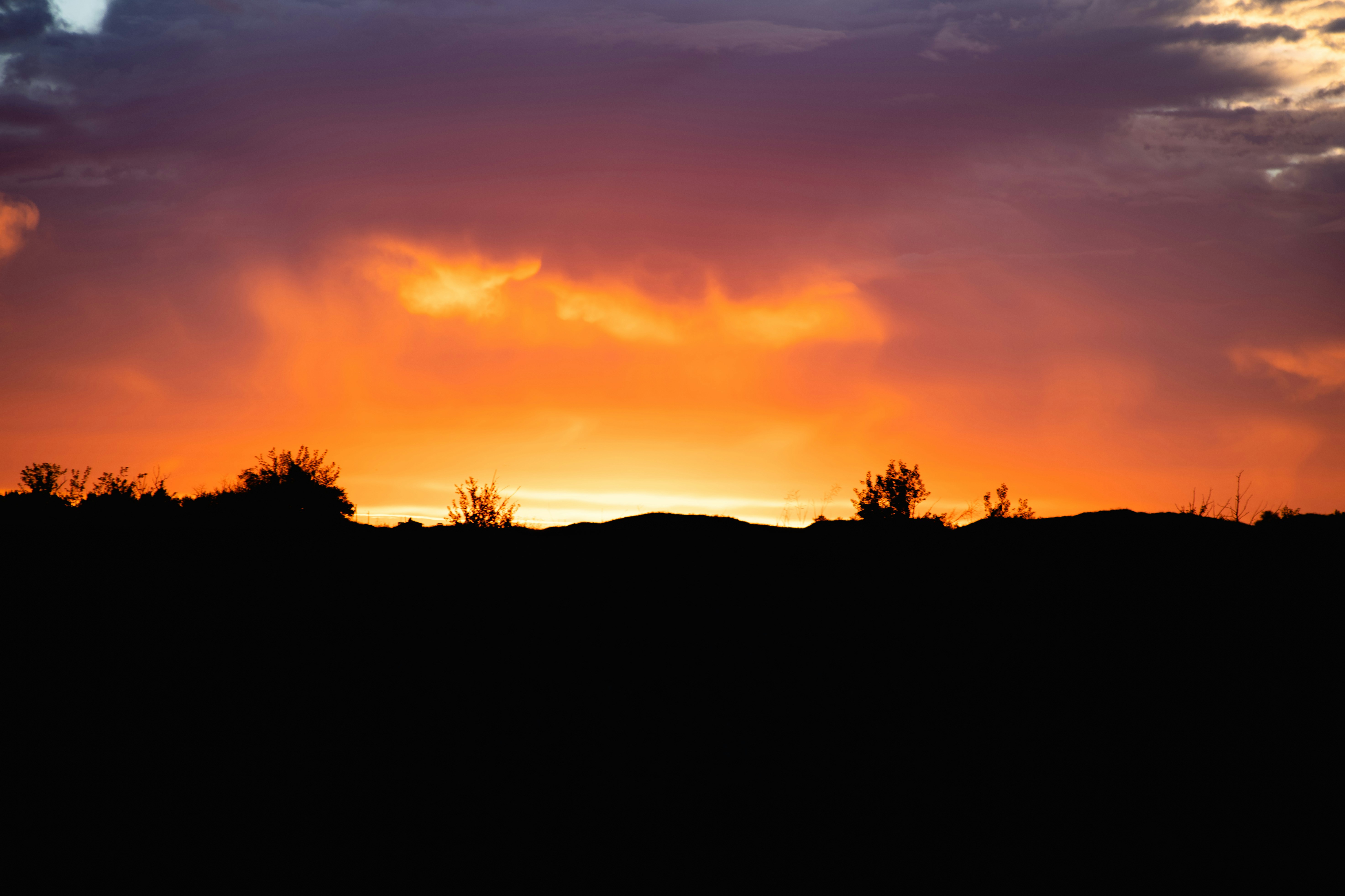 Photo by tristansosteric