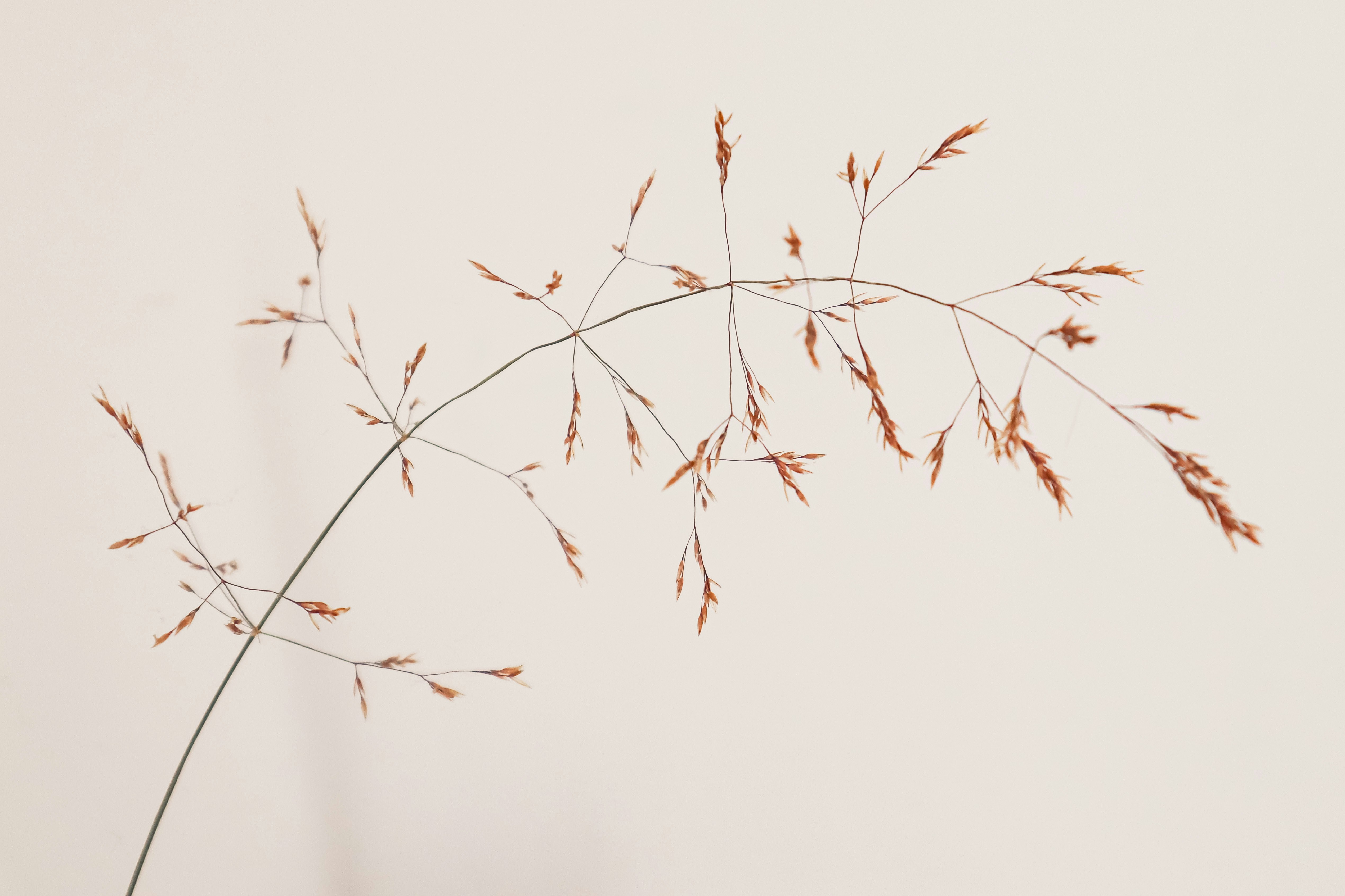 What can science education do, and what can it not?