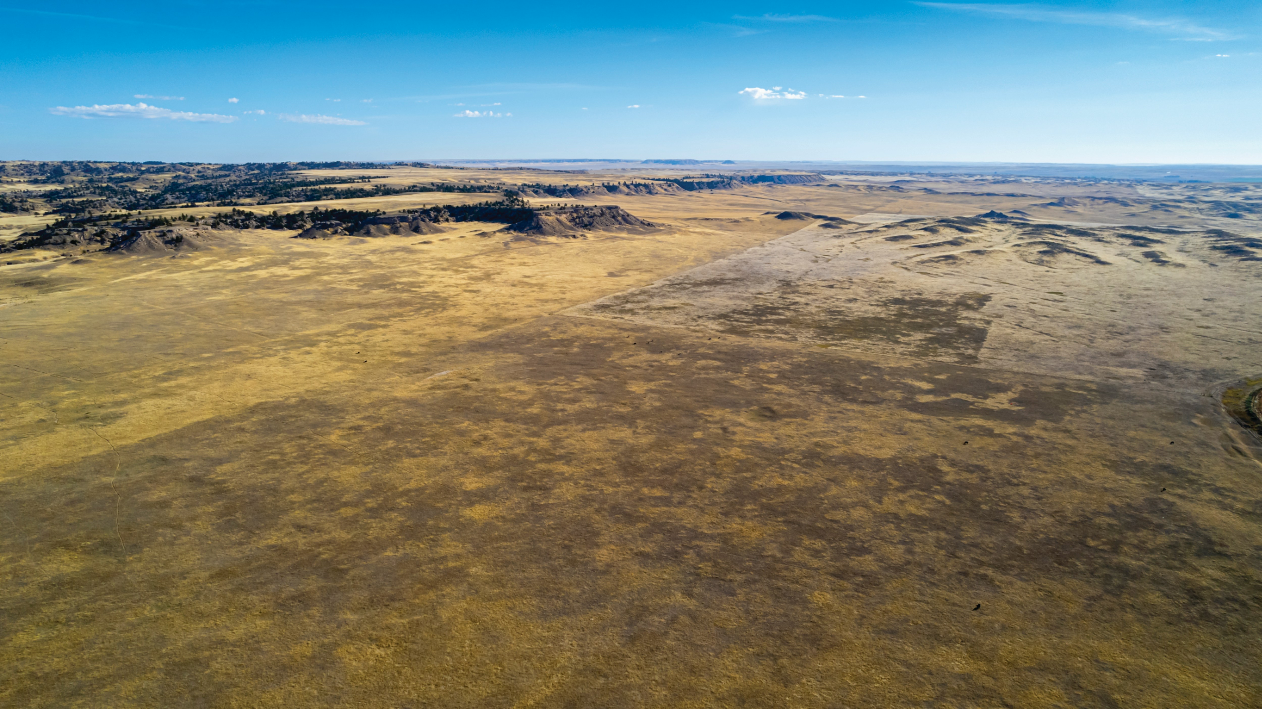 Burning Data: How Geospatial Intelligence Is Rewriting the Rules of Wildfire Defense Across the American West