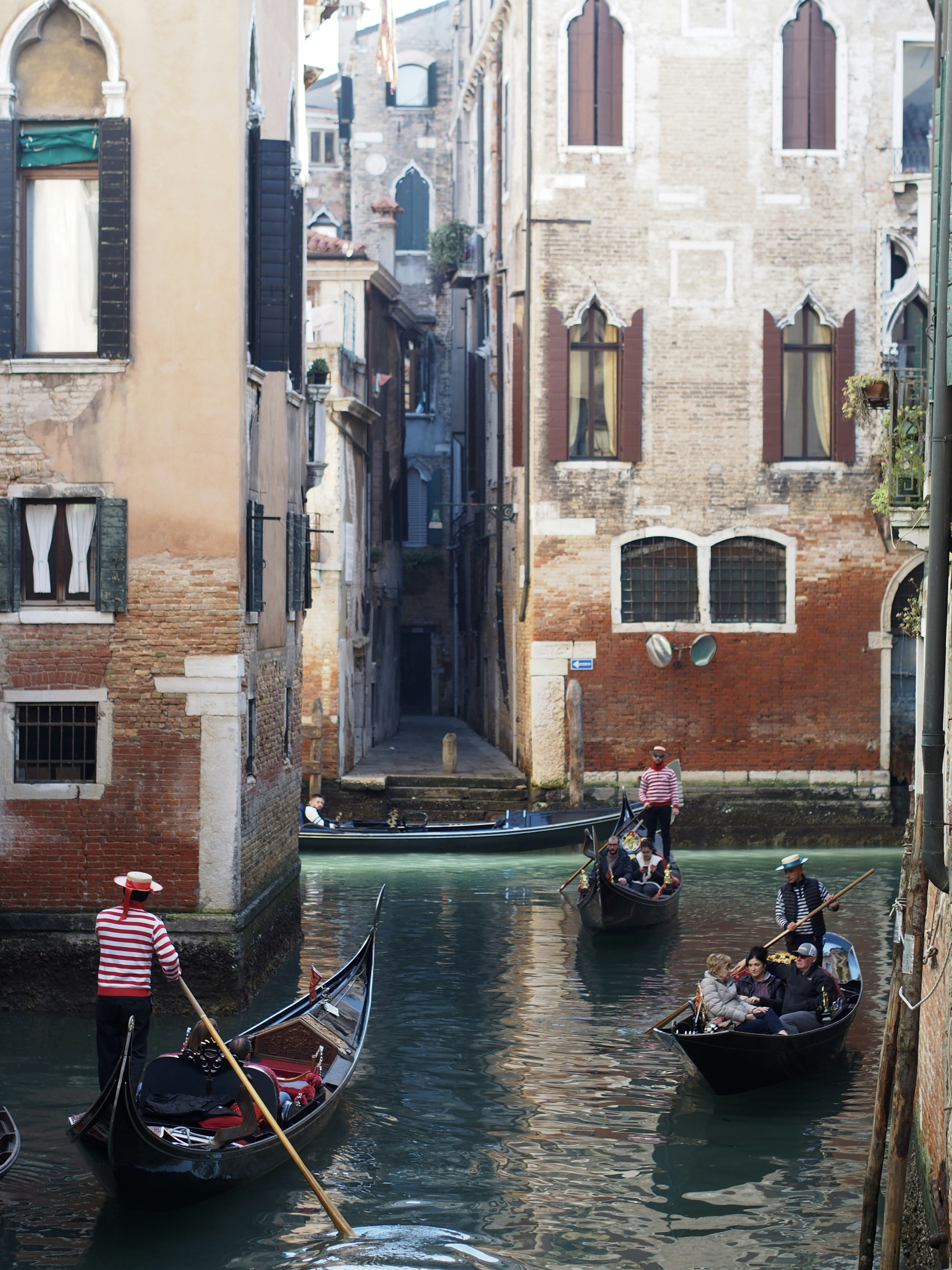 Photo by ollietulett