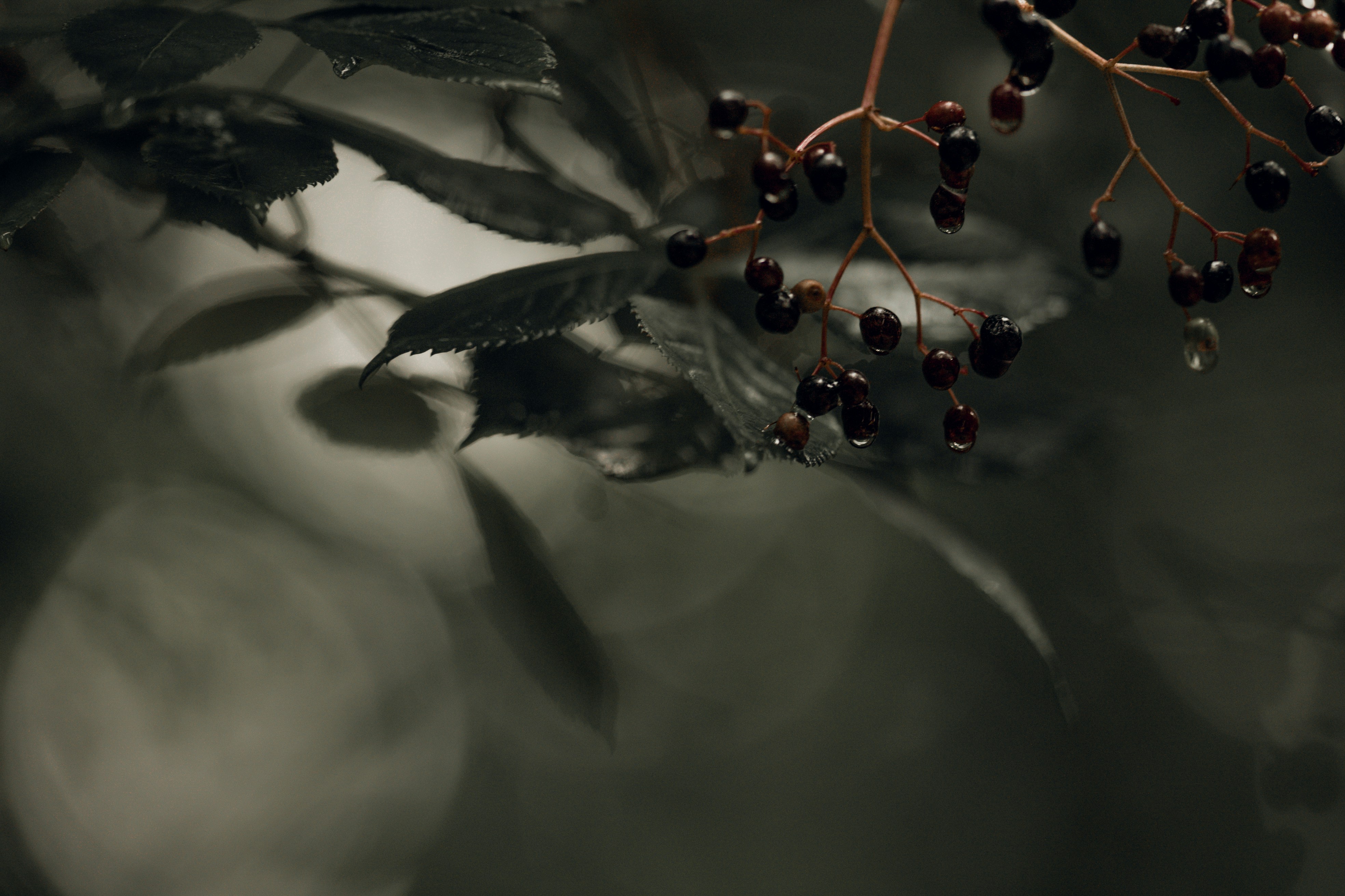 Photo by omarvellous14