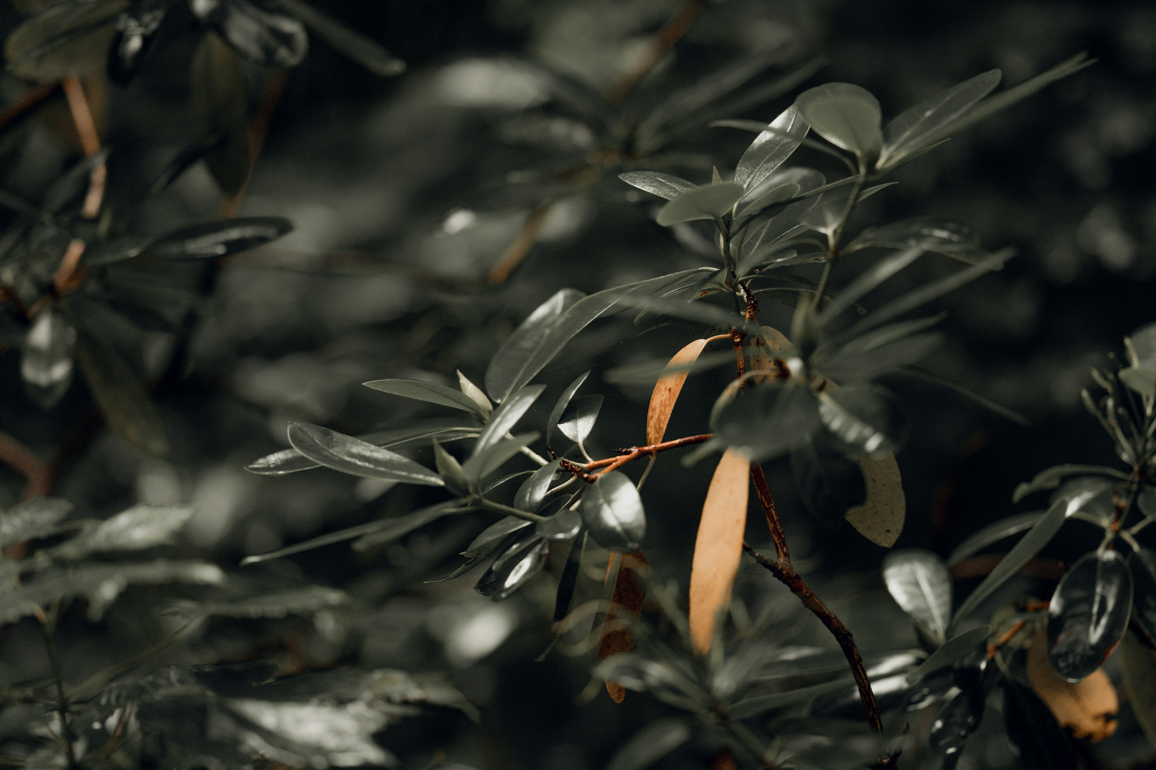 Photo by omarvellous14