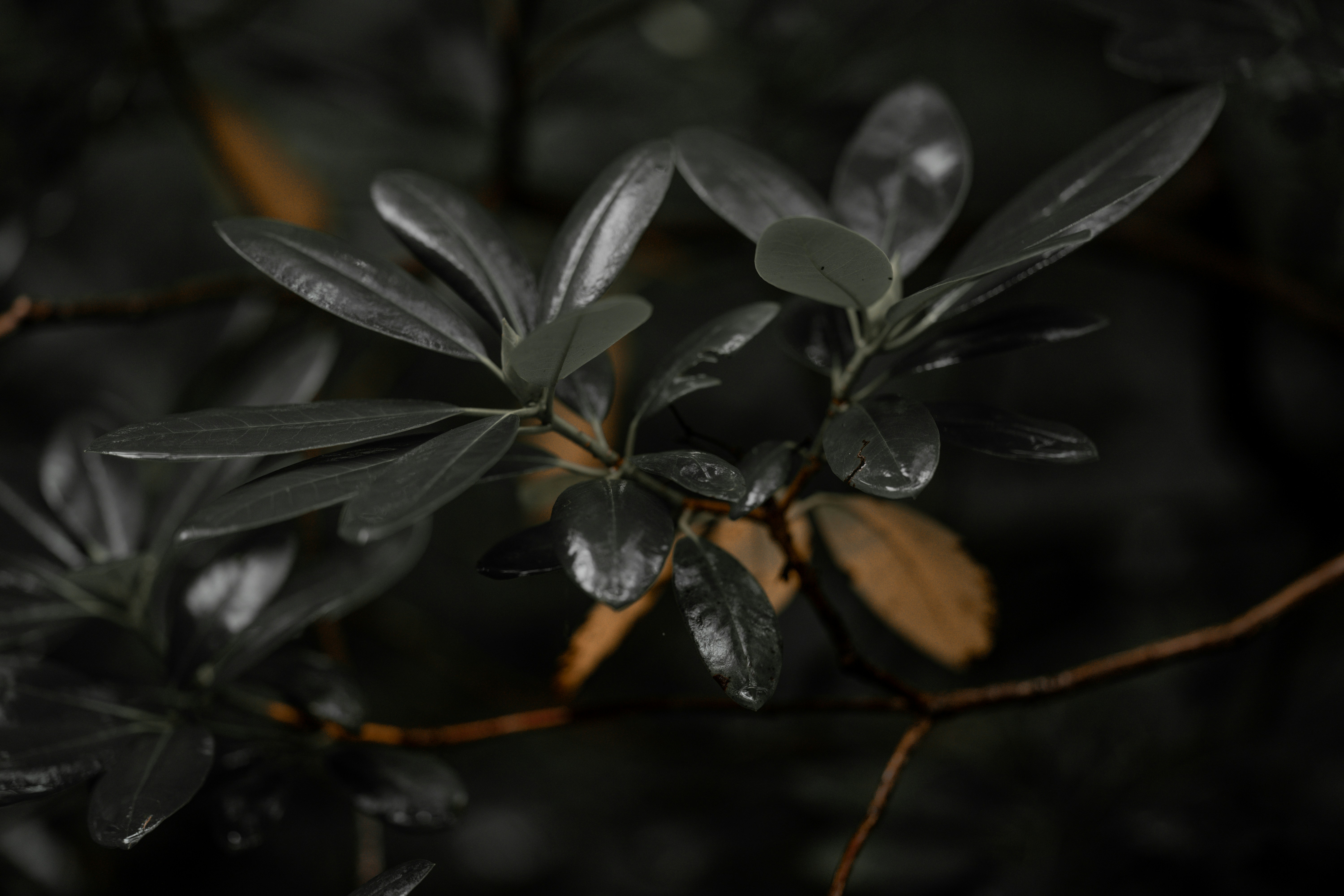 Photo by omarvellous14