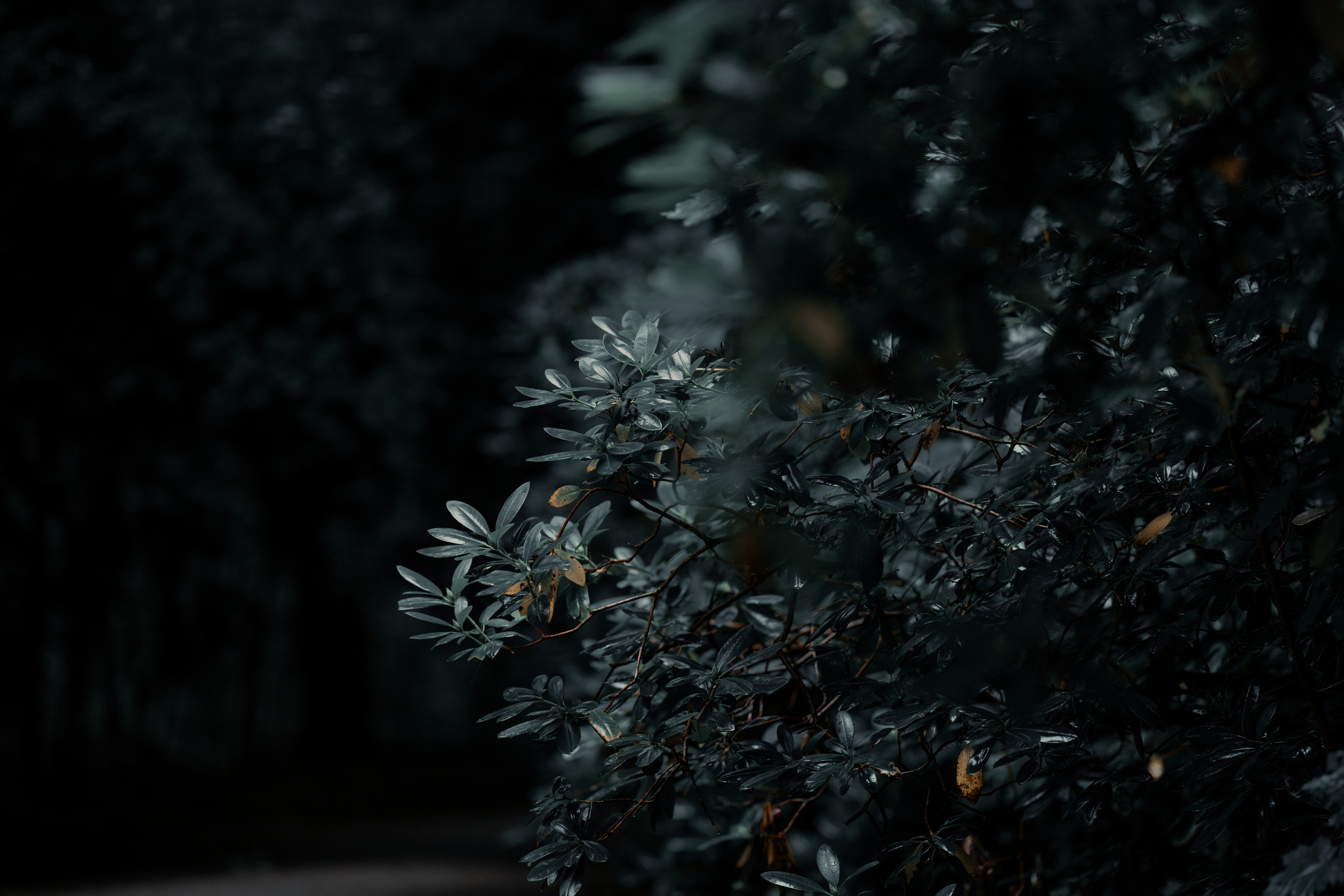 Photo by omarvellous14