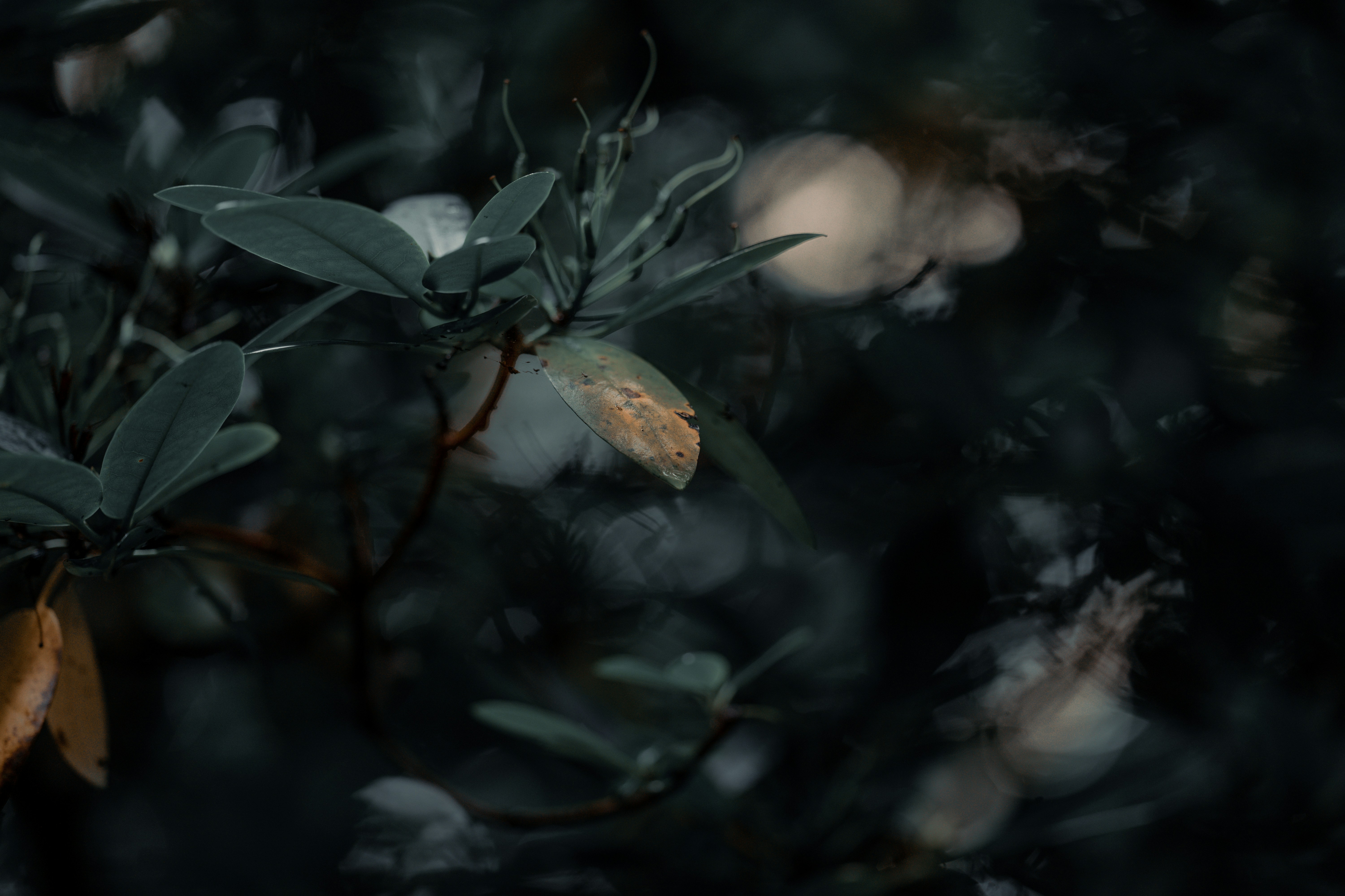 Photo by omarvellous14