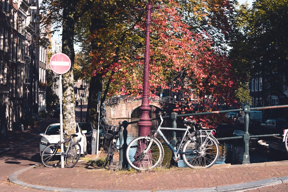 bicycles parked on a sidewalk