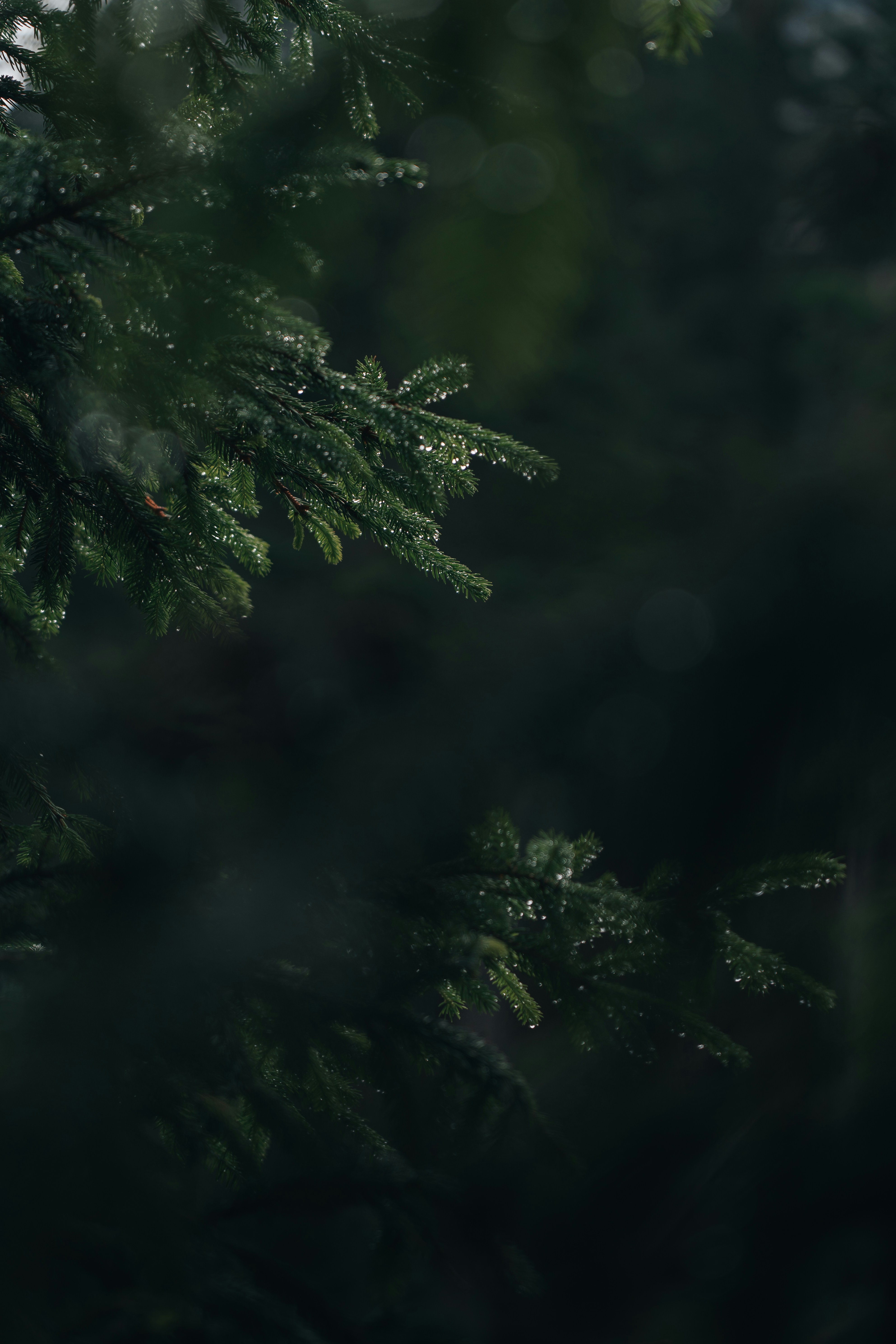 Photo by _michaelsala_