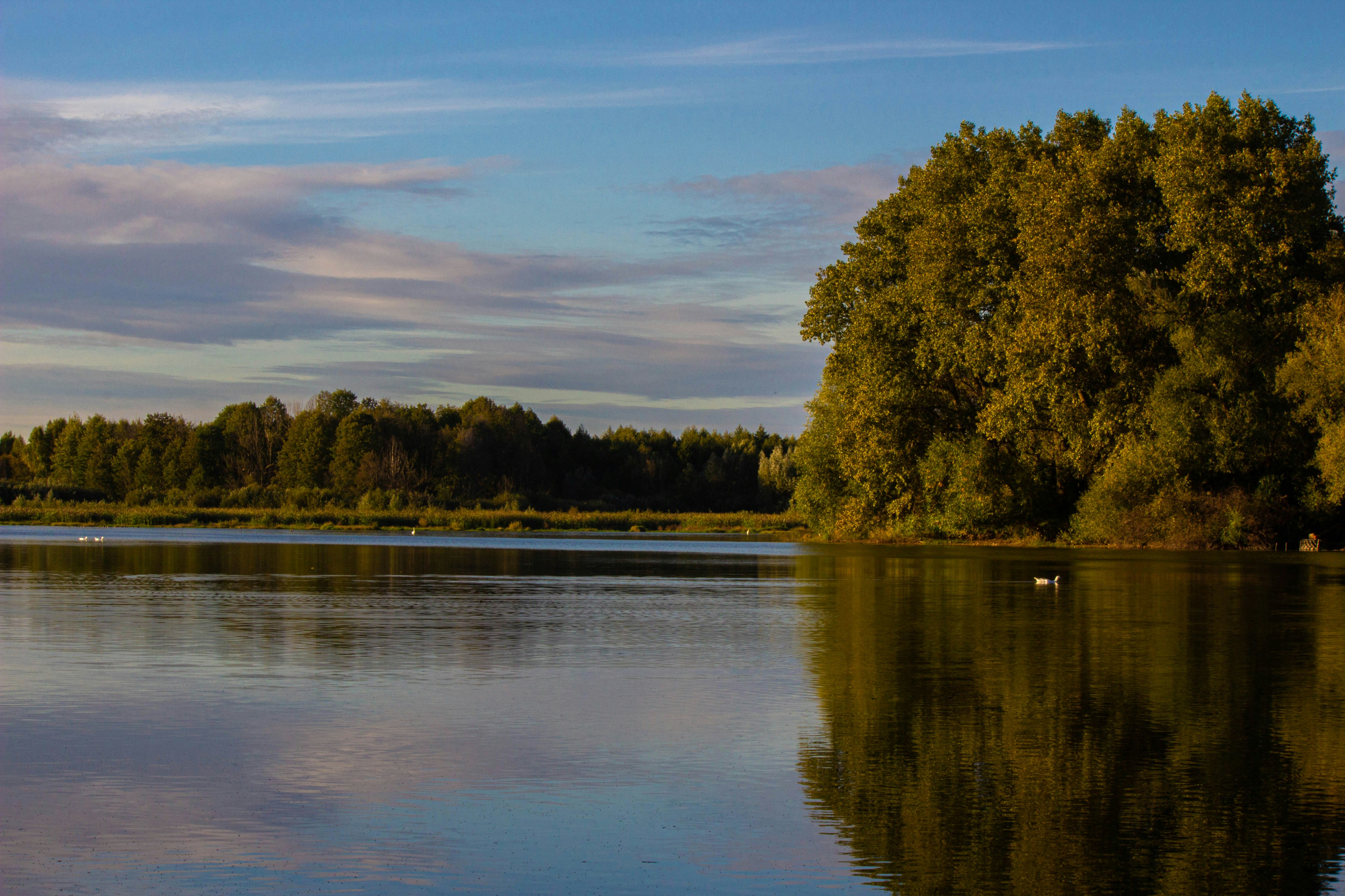 Photo by big_head_hunter