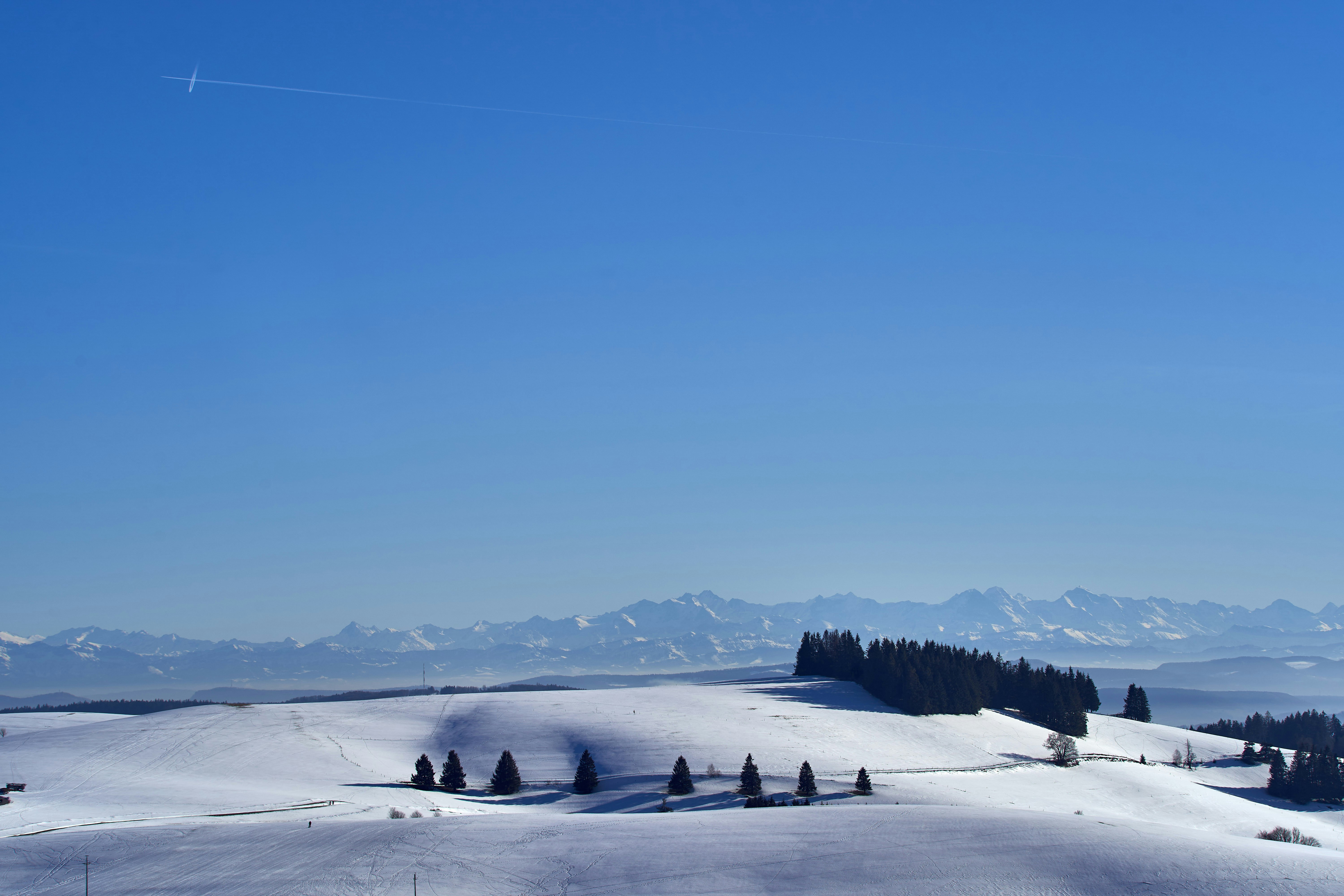 Photo by wolfgang_hasselmann