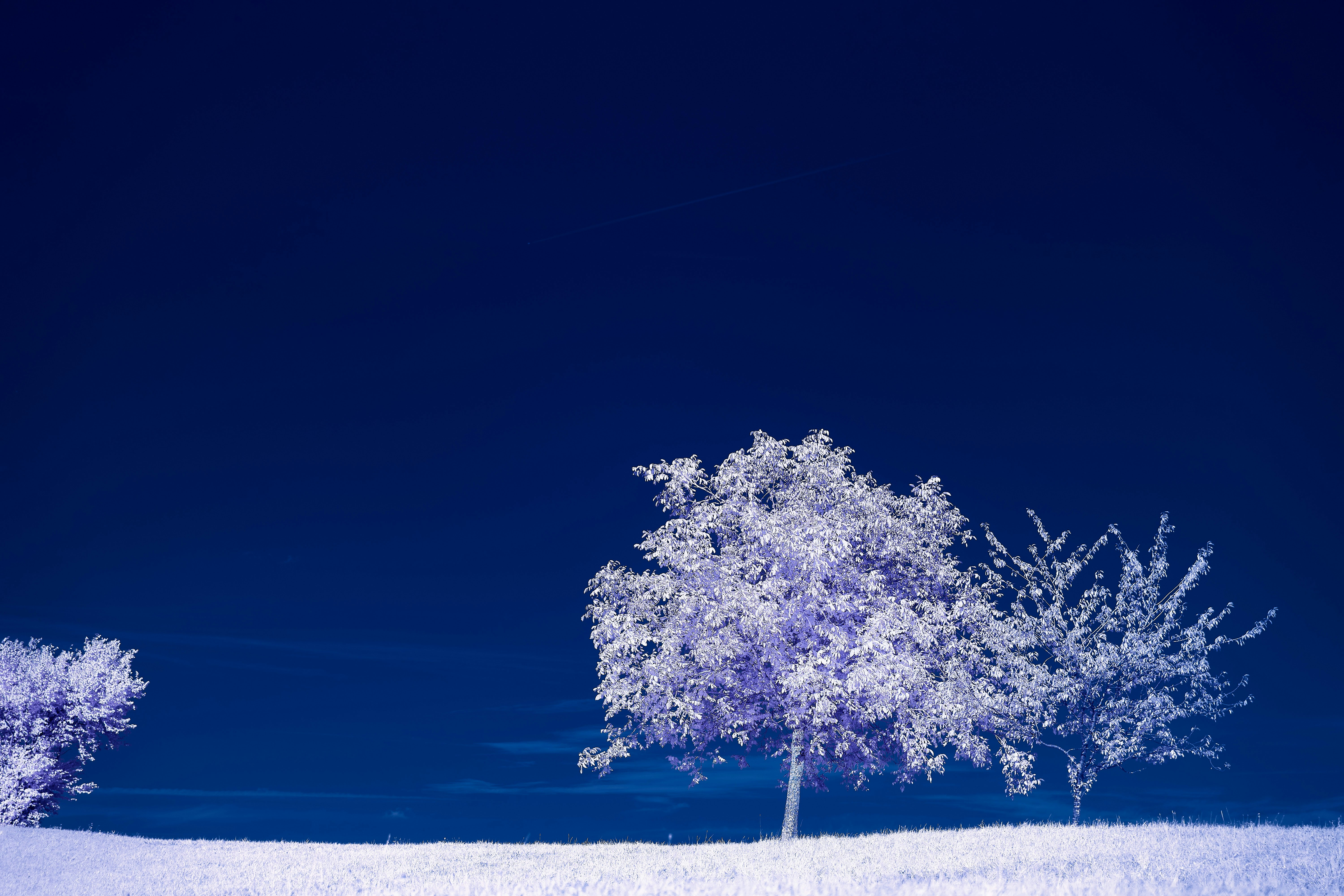 Photo by wolfgang_hasselmann