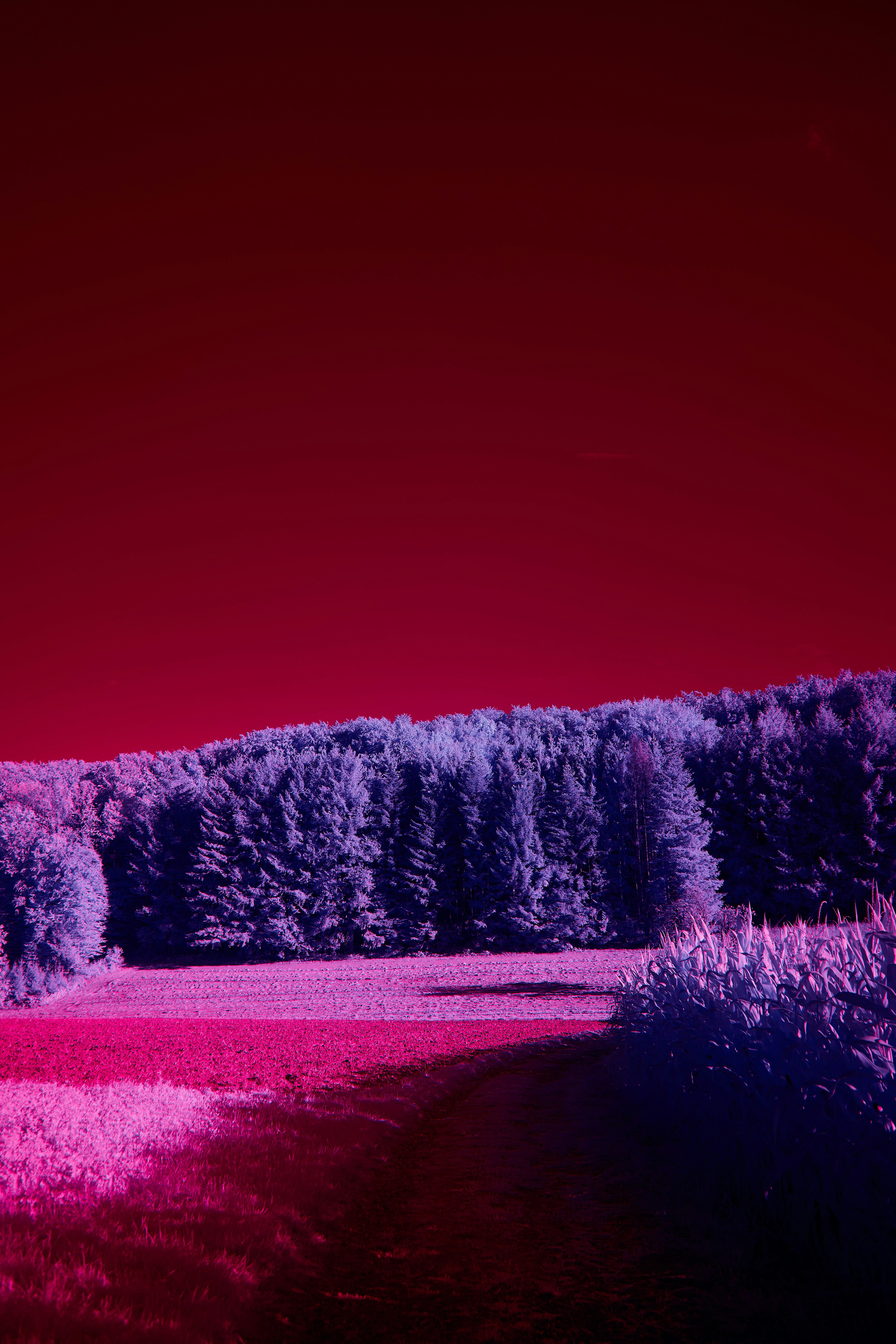 Photo by wolfgang_hasselmann