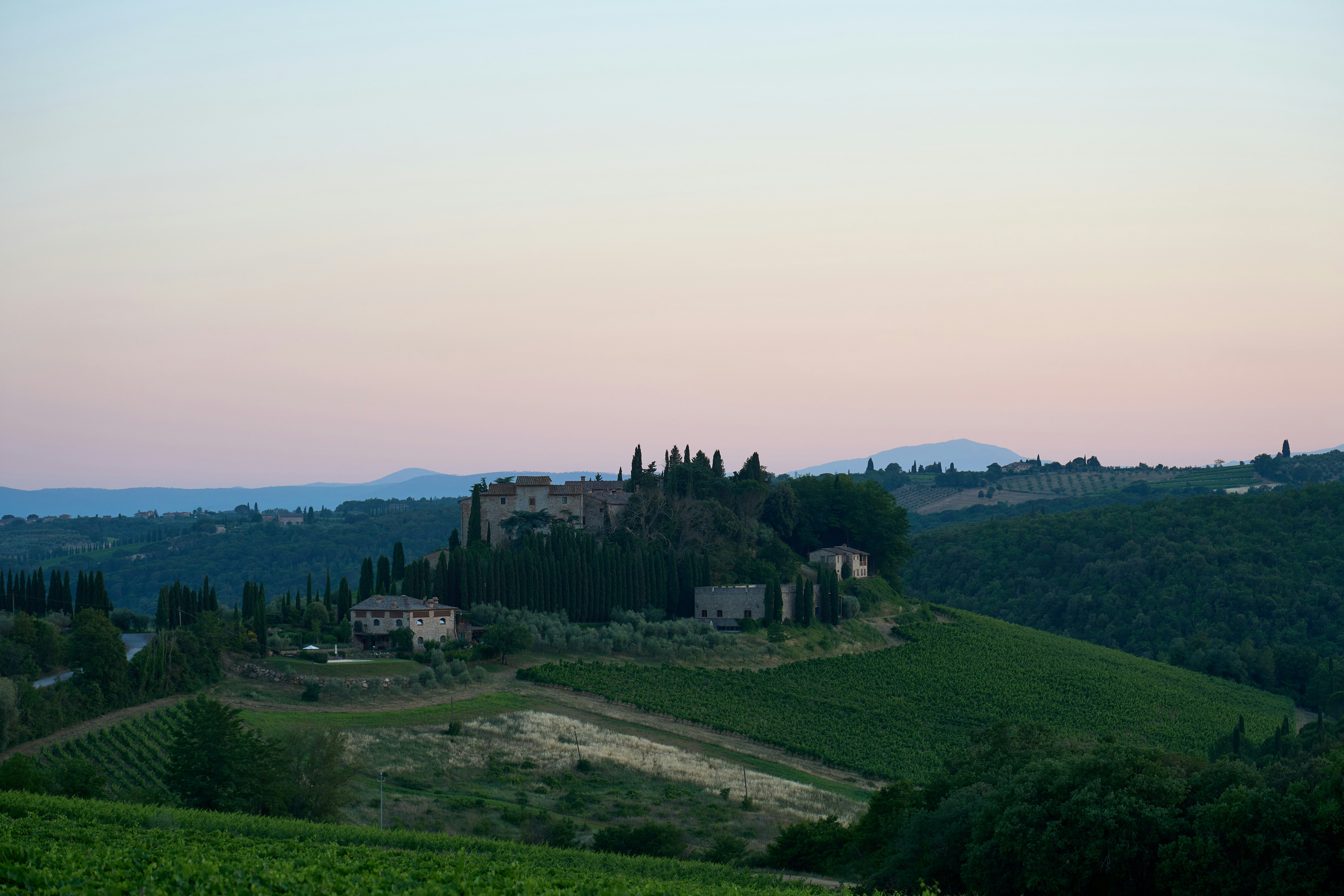 Photo by wolfgang_hasselmann