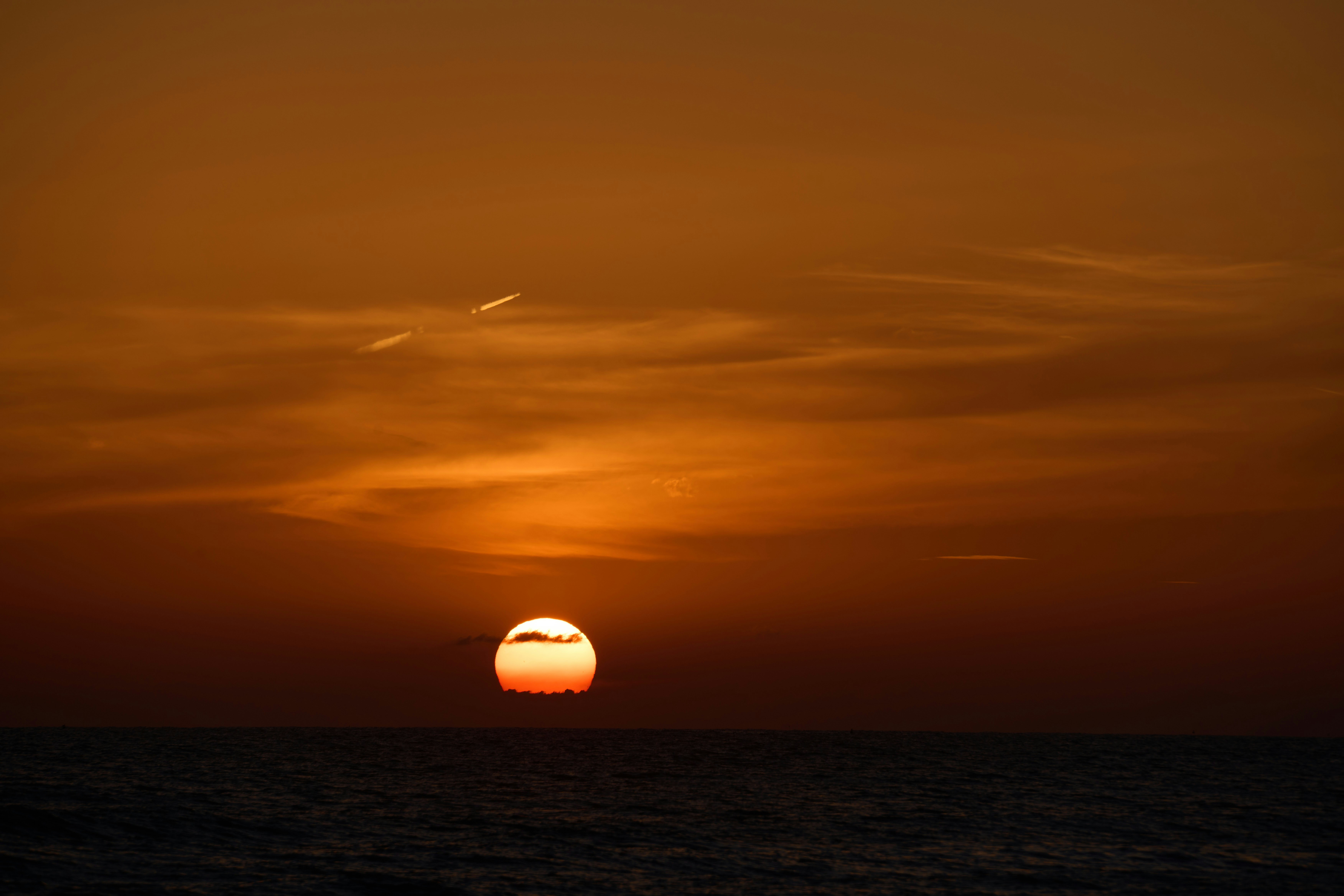 Photo by wolfgang_hasselmann