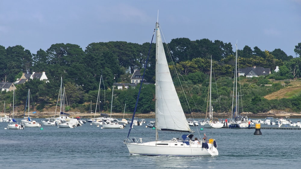 a group of sailboats on the water